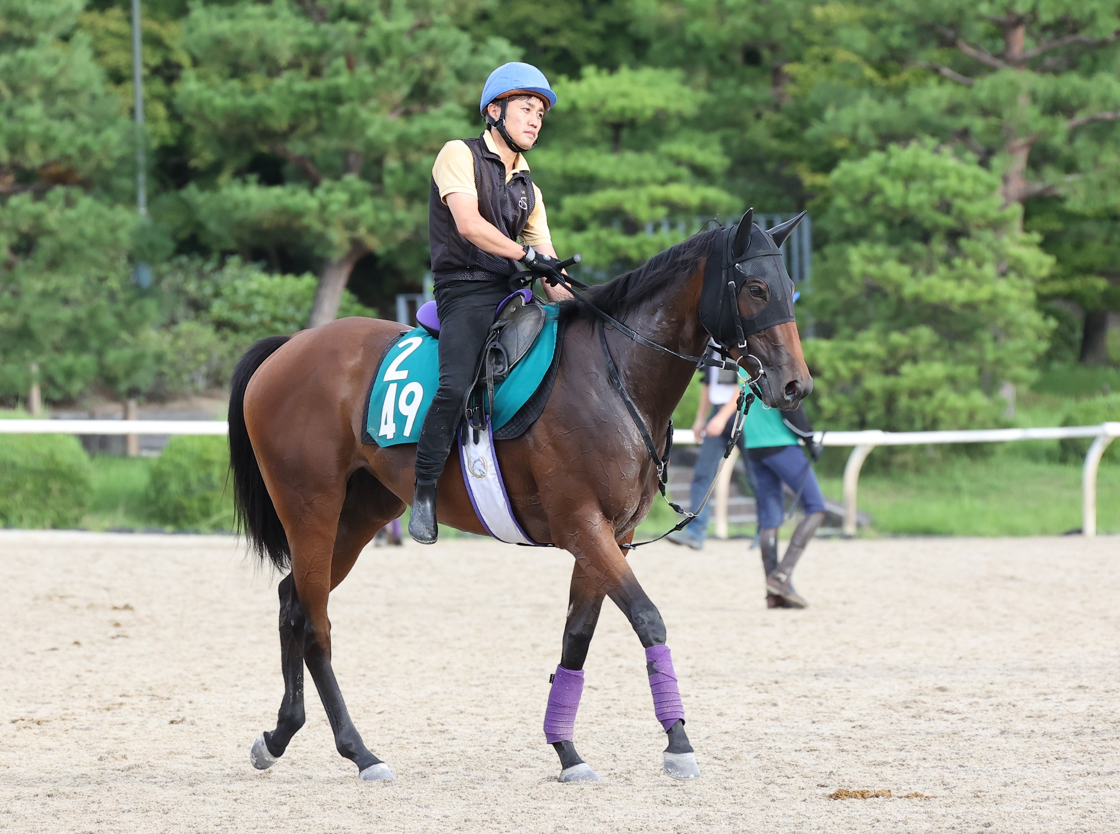 【小倉２歳Ｓ】ドナヴィーナスは軽めの運動とゲートを確認 好調 ...