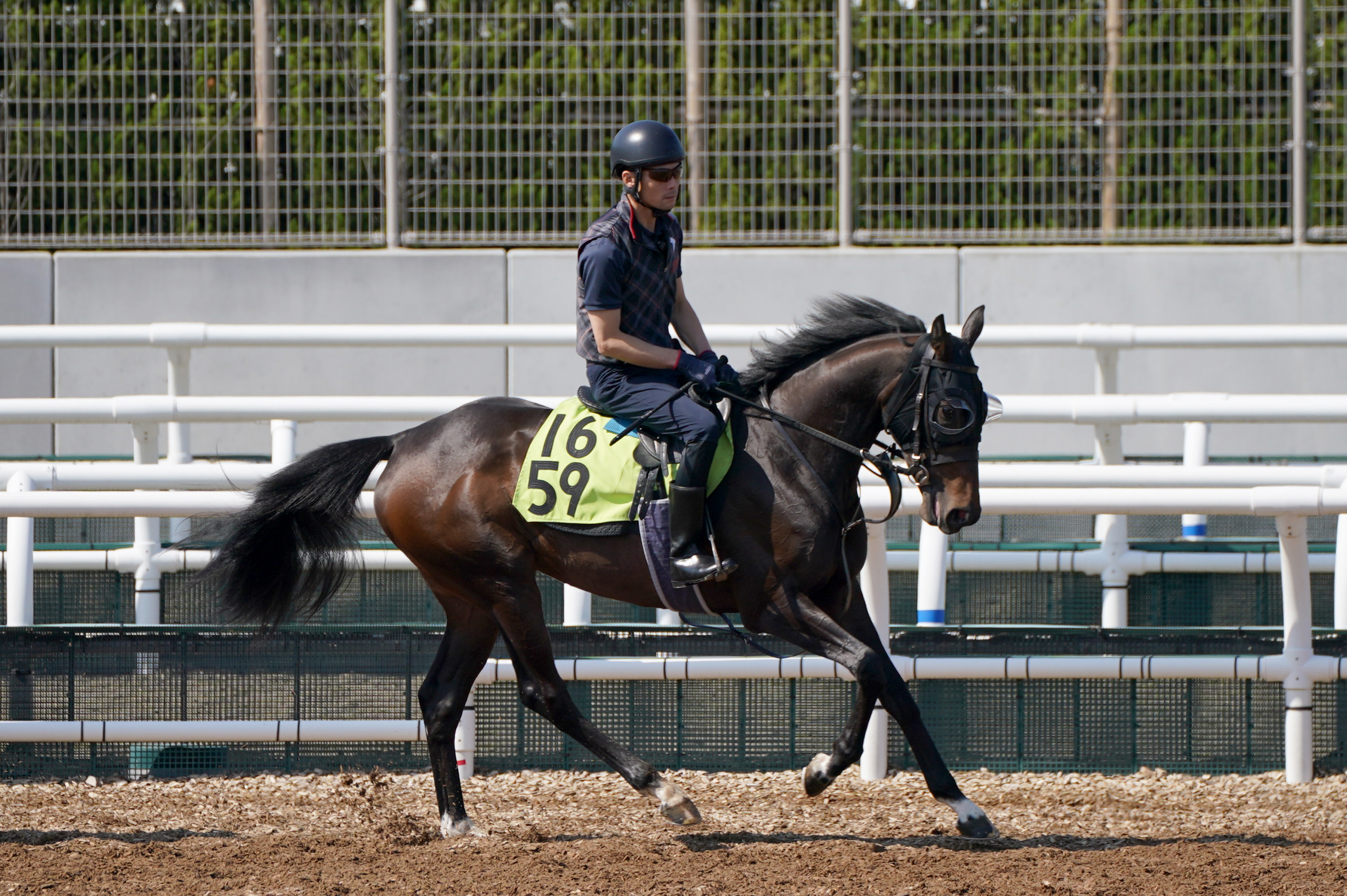 【中古】 ’９５春競馬激勝術 戦歴から勝ち馬を捜せ！！/徳間オリオン/林正 95春競馬激勝術 戦歴から勝ち馬を捜せ!! (Tokuma O books) / 林