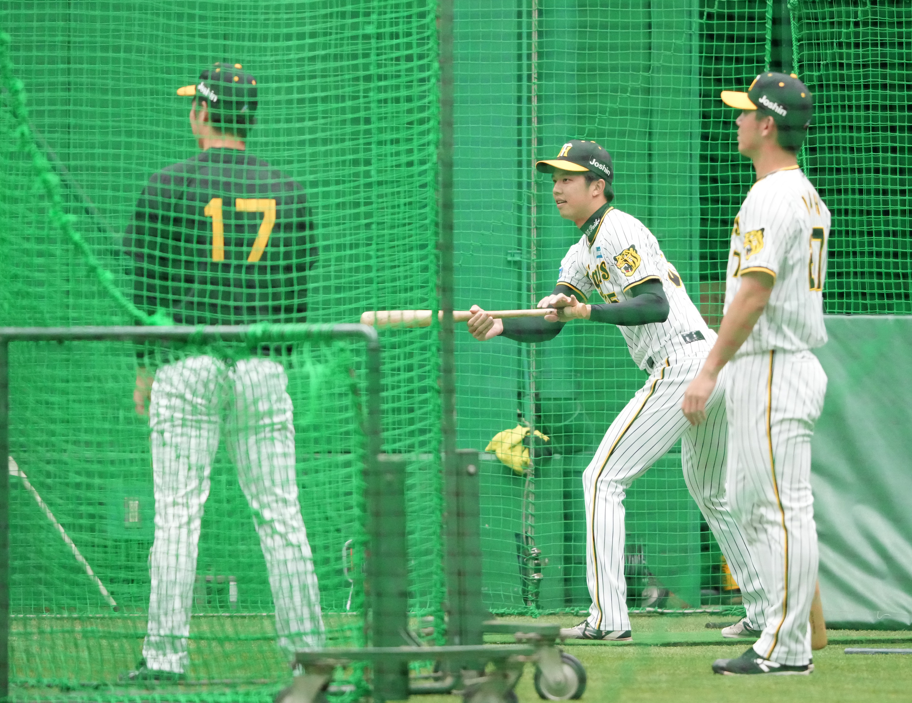 プロ野球セ・リーグの指名打者制導入は必然の流れ 東京六大学野球や