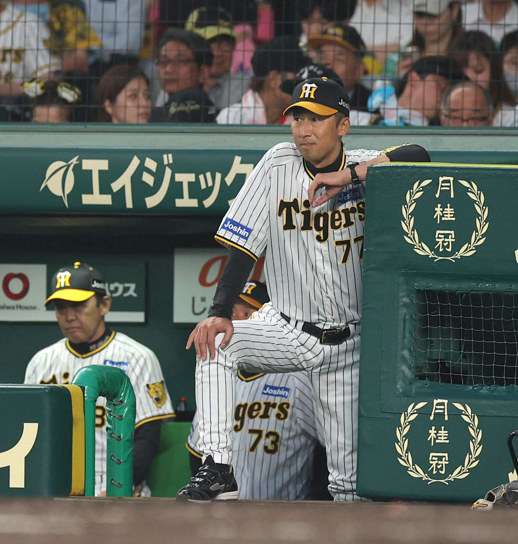 新品タグ付き　阪神タイガース　今岡誠　背番号7 球団承認　今岡真訪　LLサイズ 阪神タイガースユニフォーム 今岡誠 背番号7 球団承認 今岡真訪