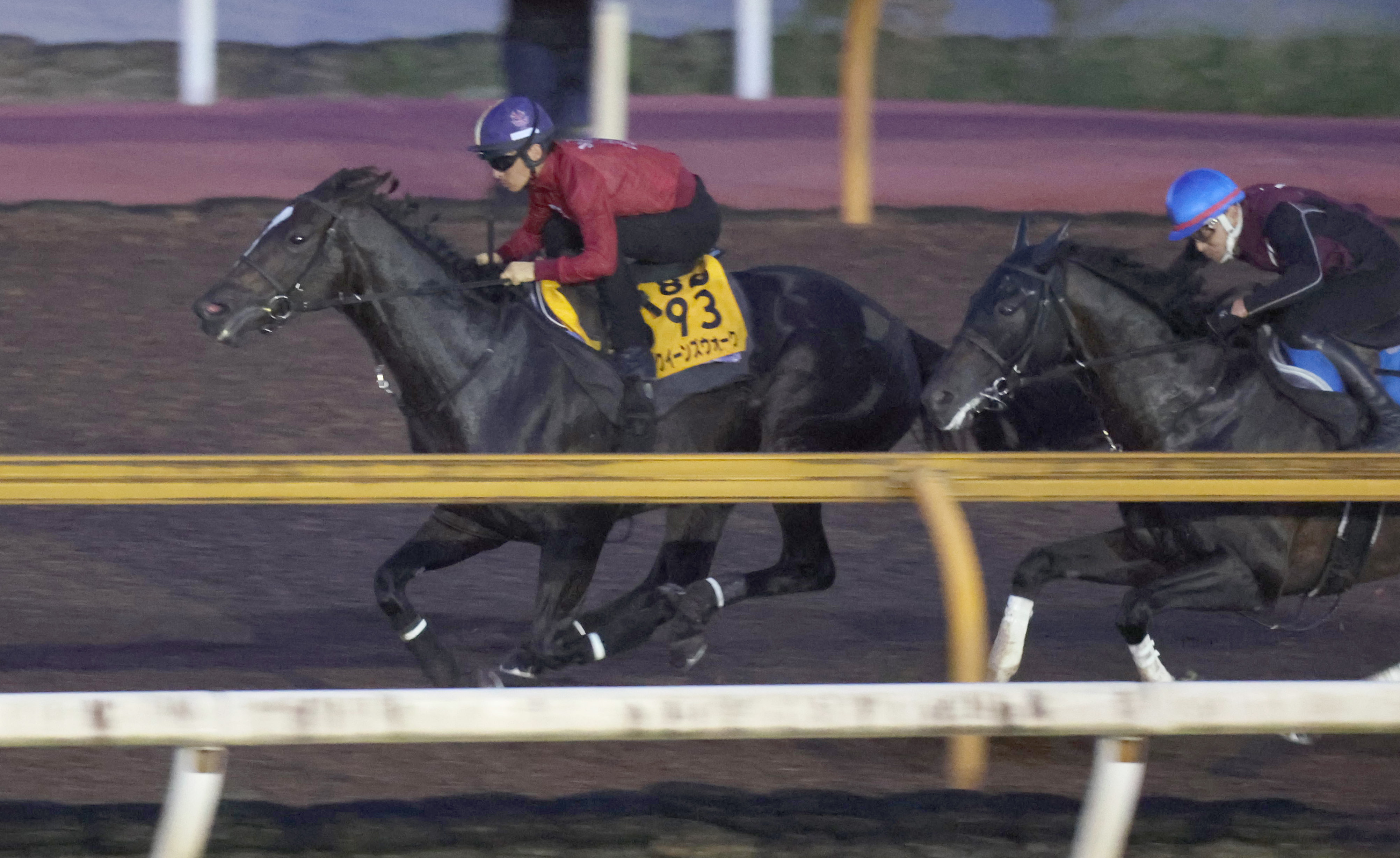 新潟記念 1週前追い切り】クイーンズウォークはCWコースの併せ馬