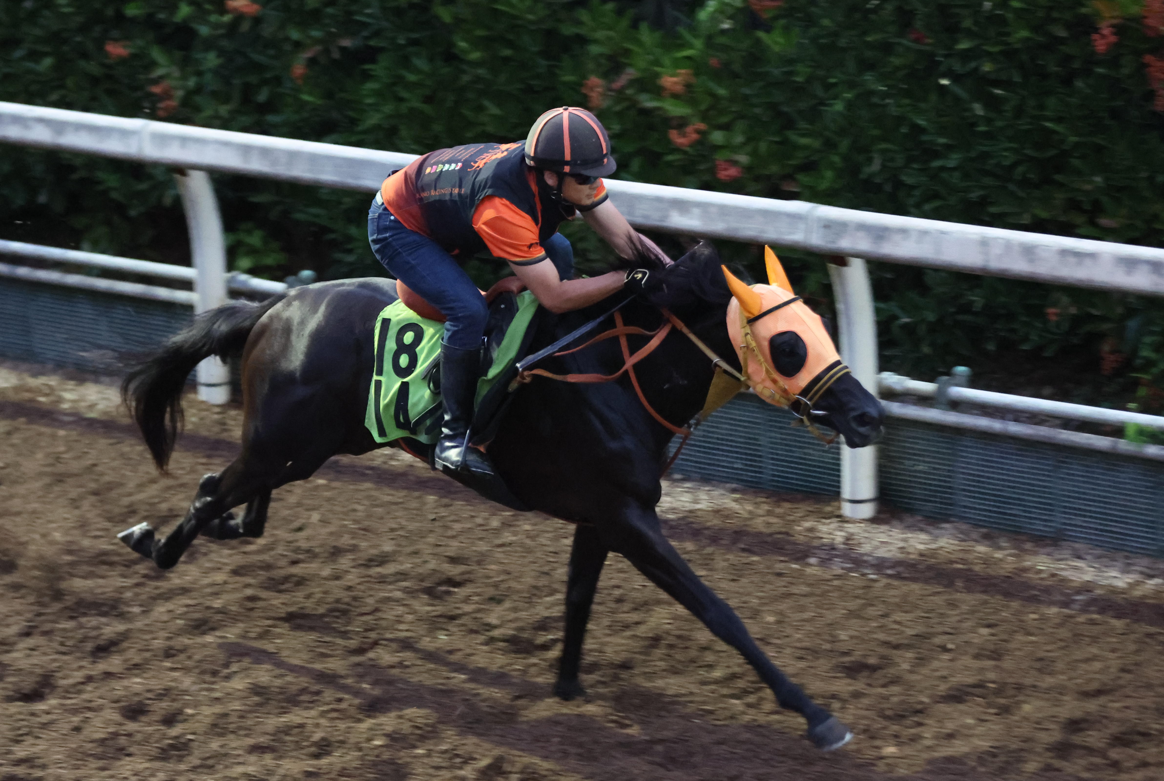馬主 一口馬主】未来のG1馬を探せ！「東サラ2025年募集馬検討会