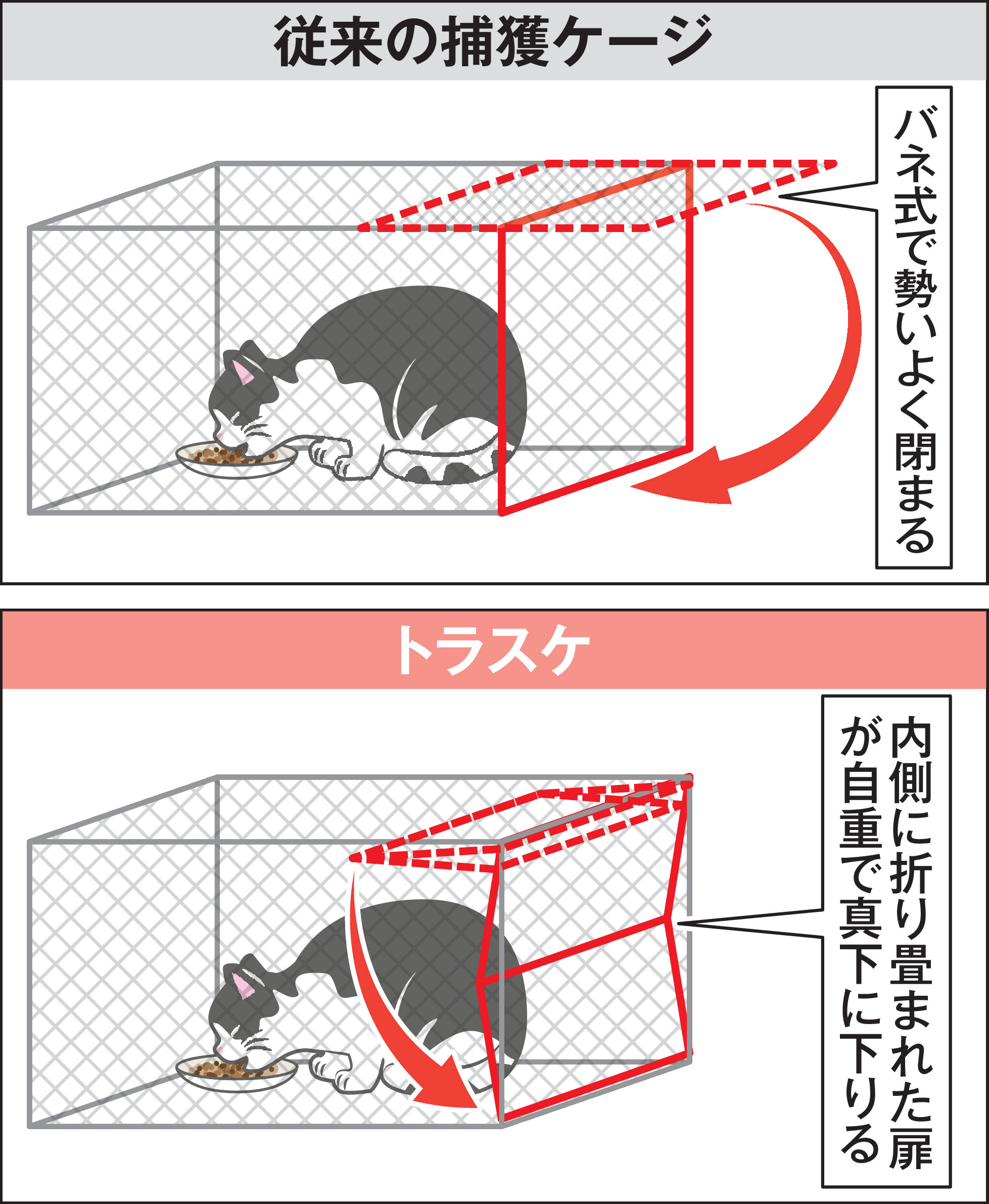 ノラ猫のけが防ぐ “世界で一番やさしい”捕獲器トラスケ 保護業者と燕
