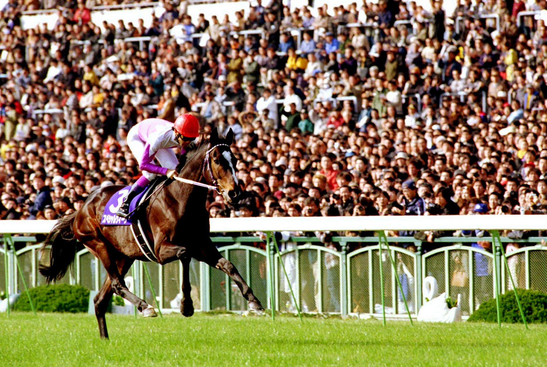 復刻！ 週刊100名馬」スペシャルウィーク（前編）がGallop オンライン