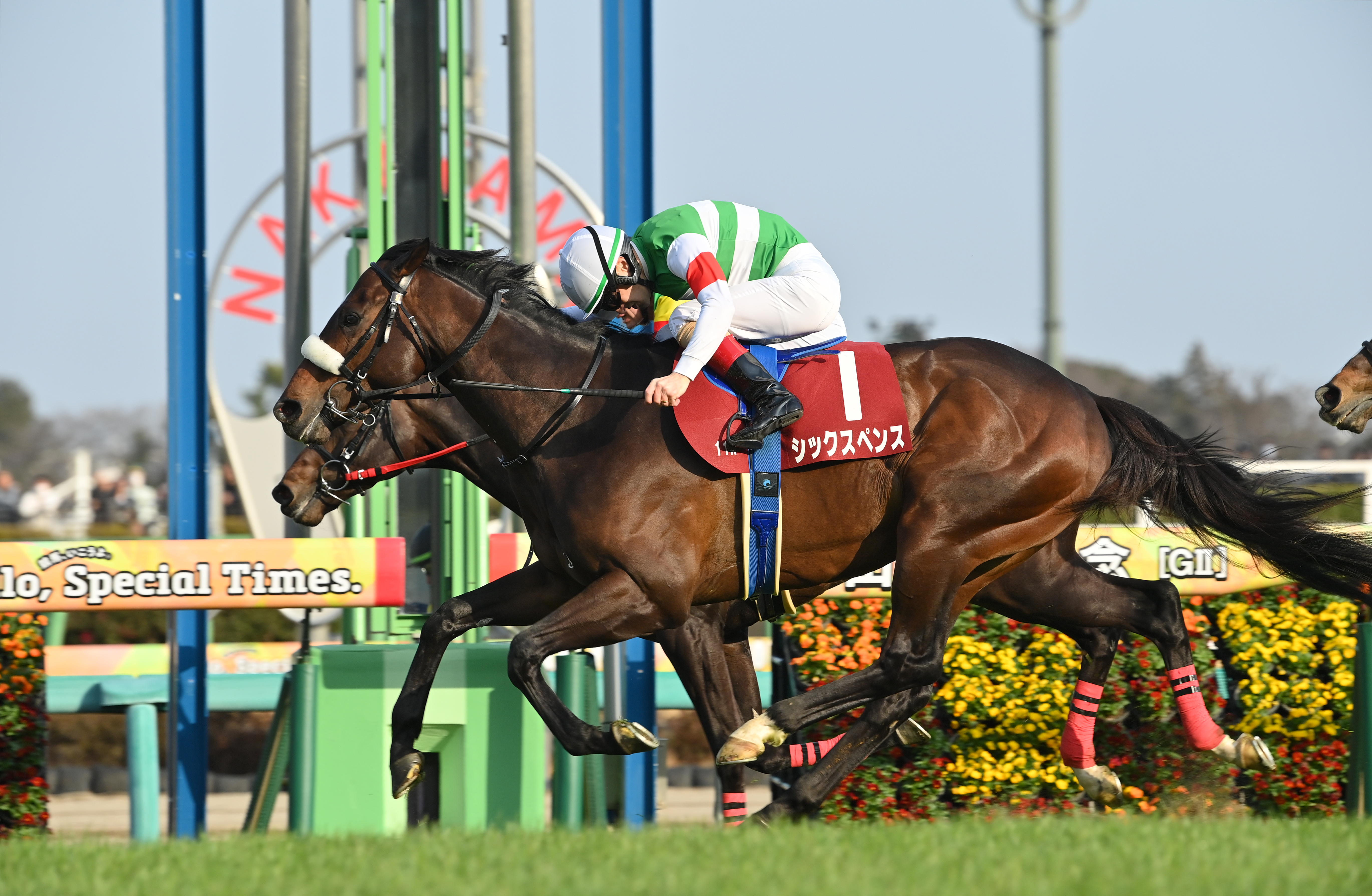 中山記念】シックスペンス貫禄見せた コースレコードVにルメール