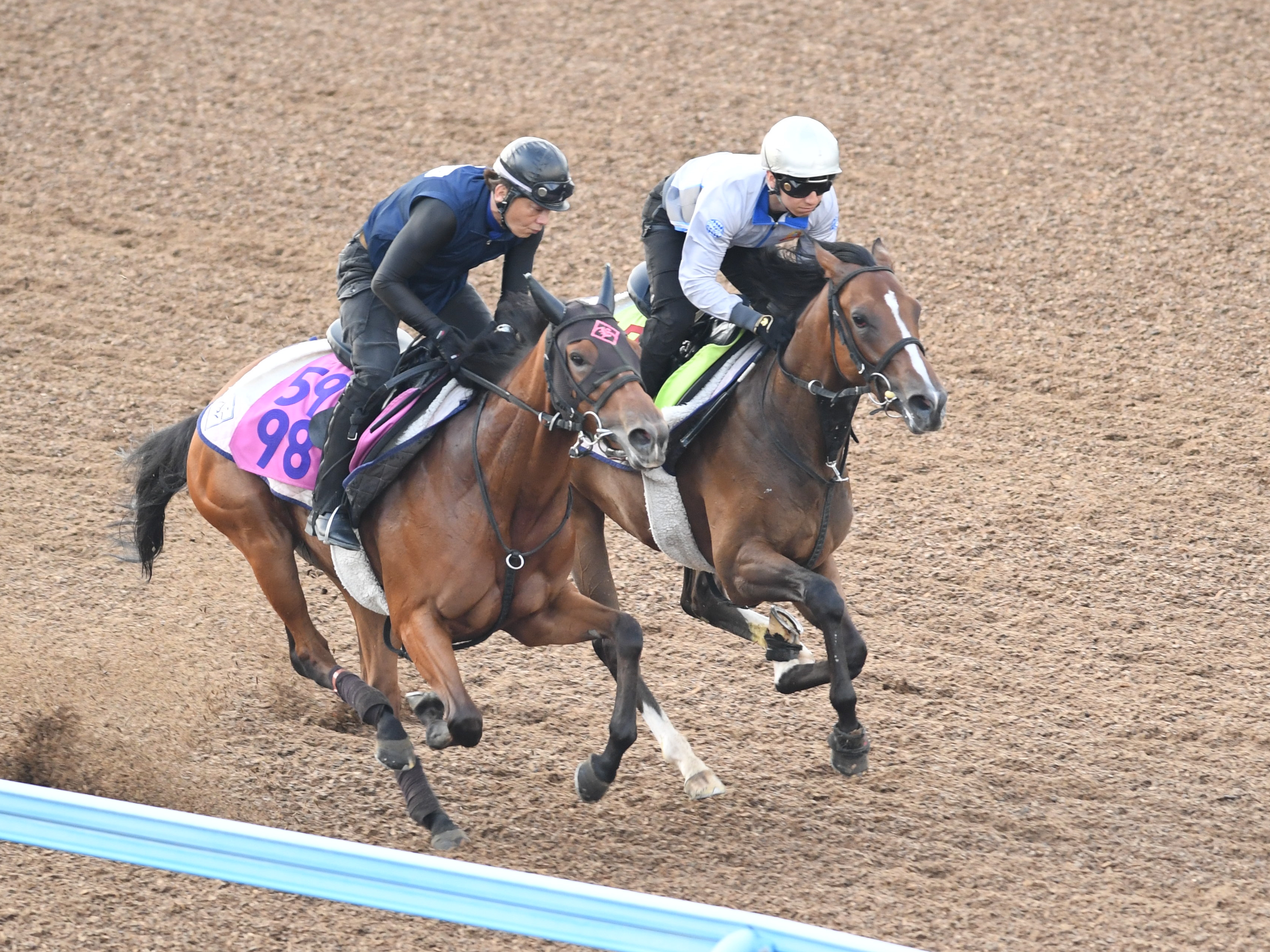 今日の注目新馬】メーゼは伯母に米GⅠホース 落ち着き十分／福島