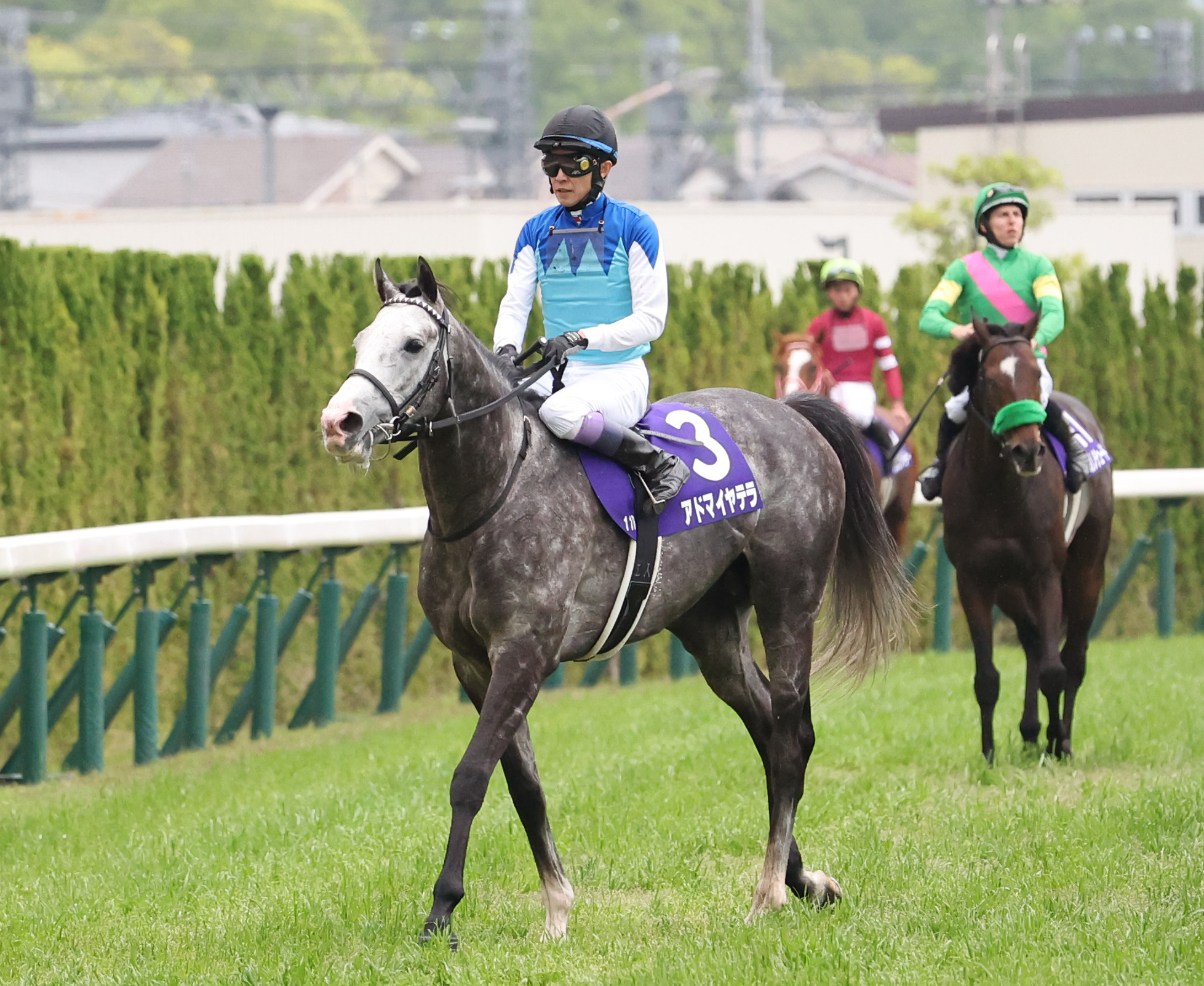 天皇賞・春】アドマイヤテラは直線で伸びるも3着 武豊騎手「決め手の差 