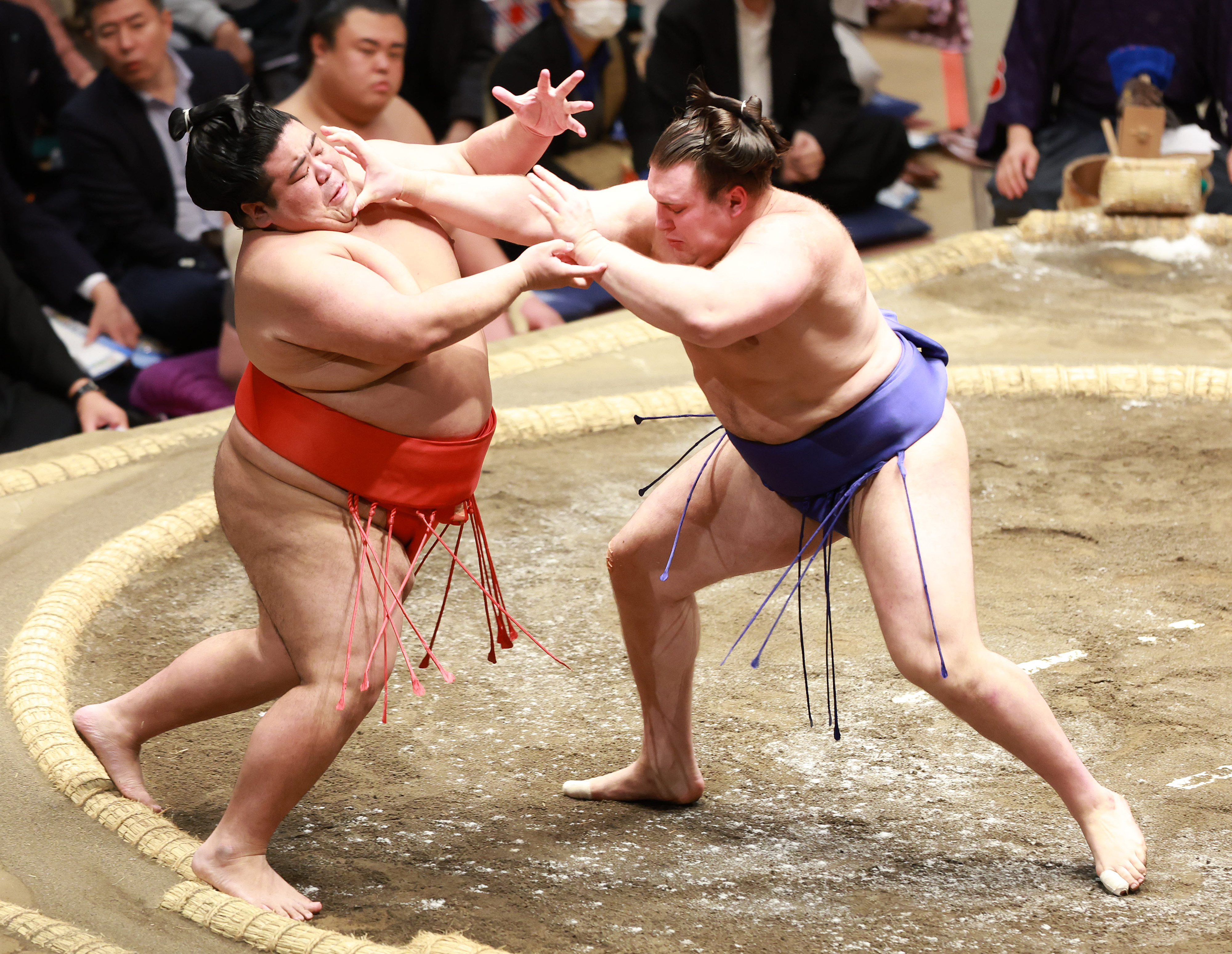 安青錦、最速新入幕も「あまり意識しないように」／初場所 - サンスポ