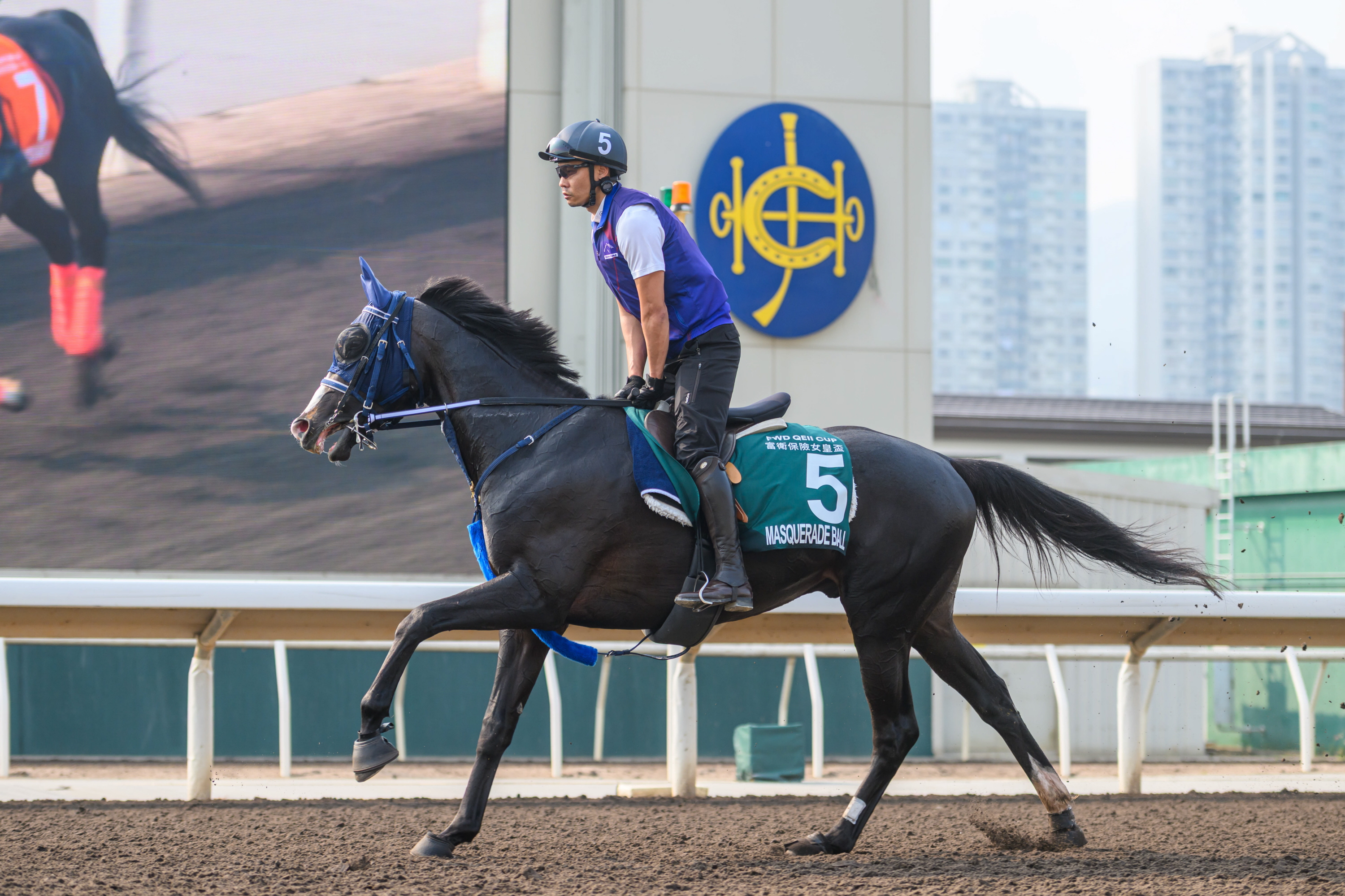馬 香港チャンピオンズデー】JRA所属馬の23日の近況 マスカレードボールは