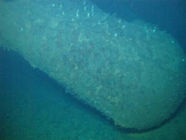 動画付き】これが戦艦「大和」だ！ 菊の紋章、世界最大の主砲塔