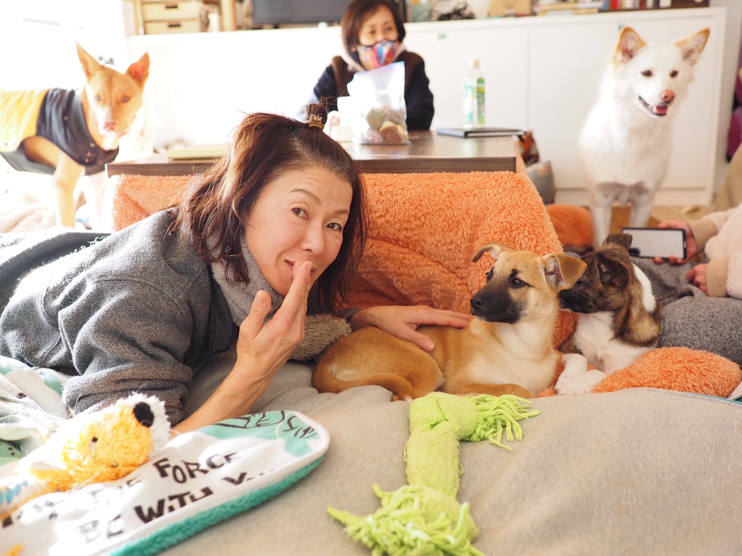 池田犬 女神の休息】池田浩美 保護犬猫活動団体代表を務める姉・明美の