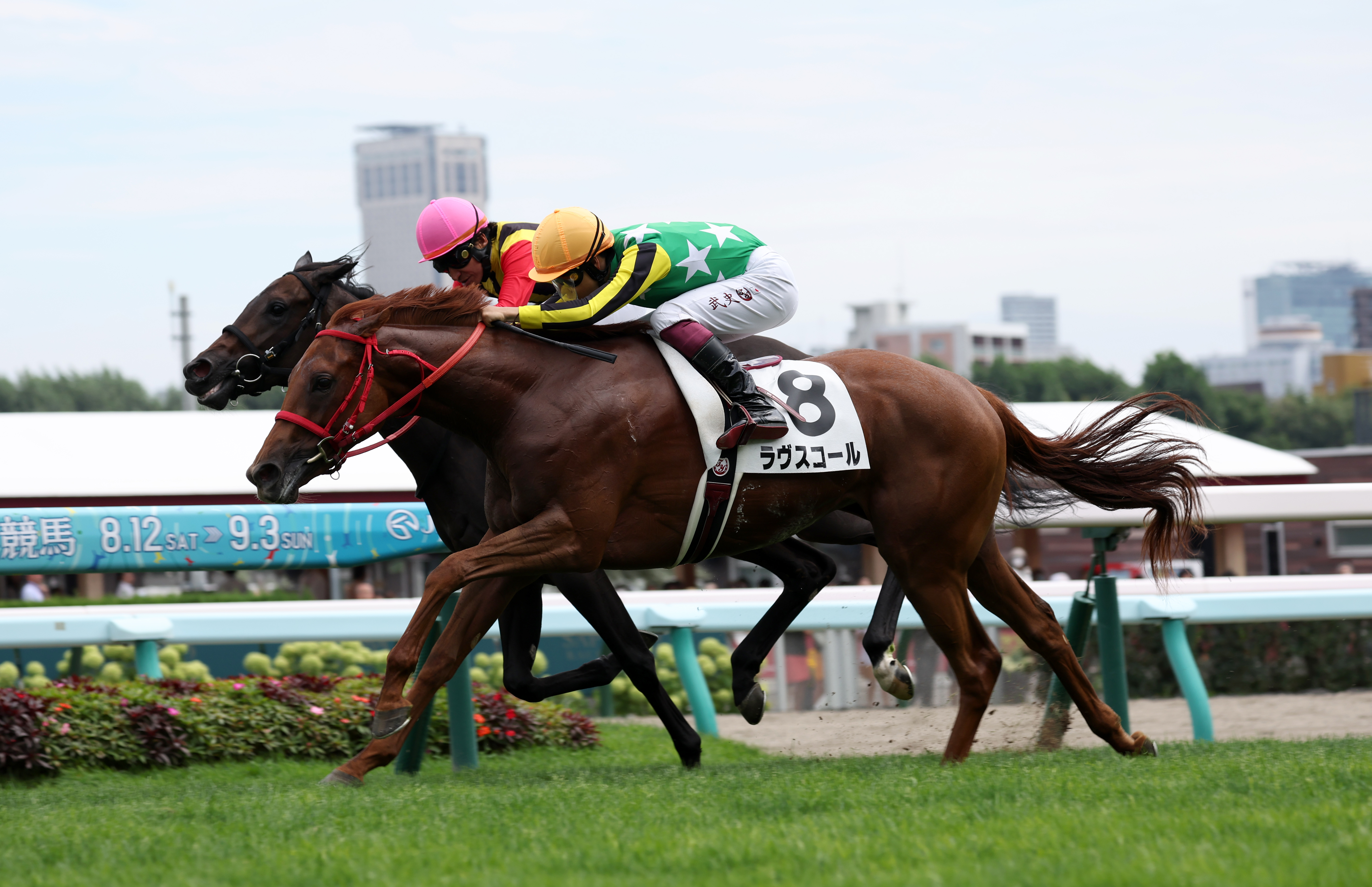 【ＰＯＧ調査隊】札幌でデビュー勝ちのラヴスコール ２８日の ...