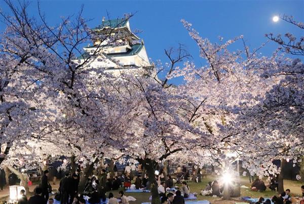 大阪城を桜でいっぱいに 大阪市が１口１万円で寄付事業スタート 産経ニュース