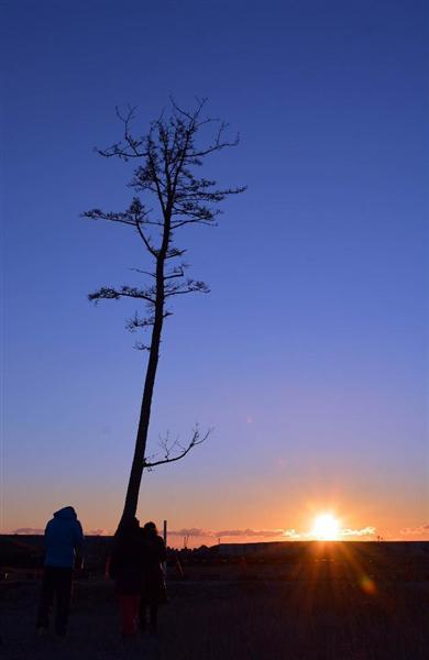 東日本大震災 あの日から５年２カ月 福島県南相馬にも津波に耐えた一本松がある 1 2ページ 産経ニュース