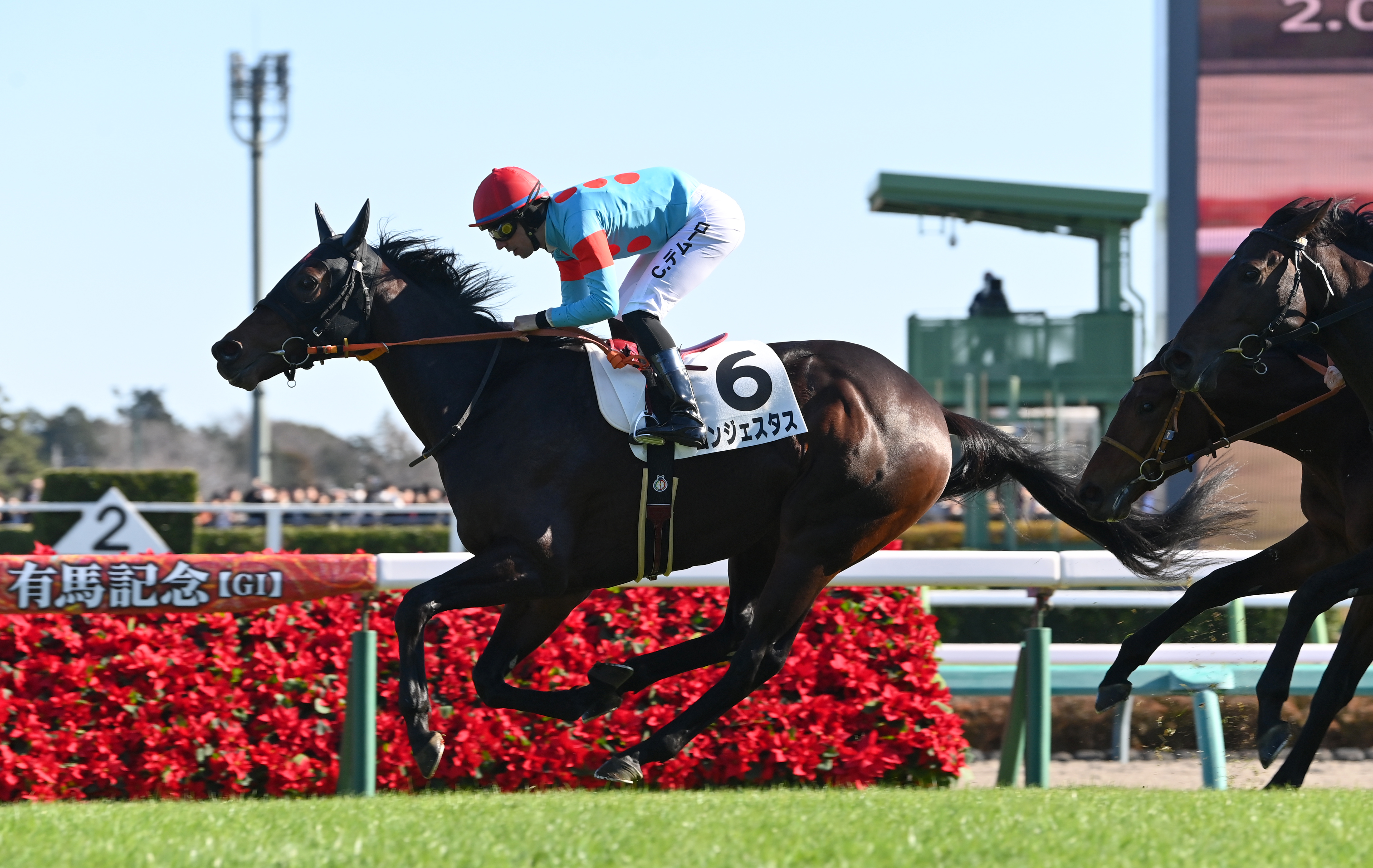 2歳新馬・中山6R】コントレイル産駒コンジェスタスが力強く抜け出し