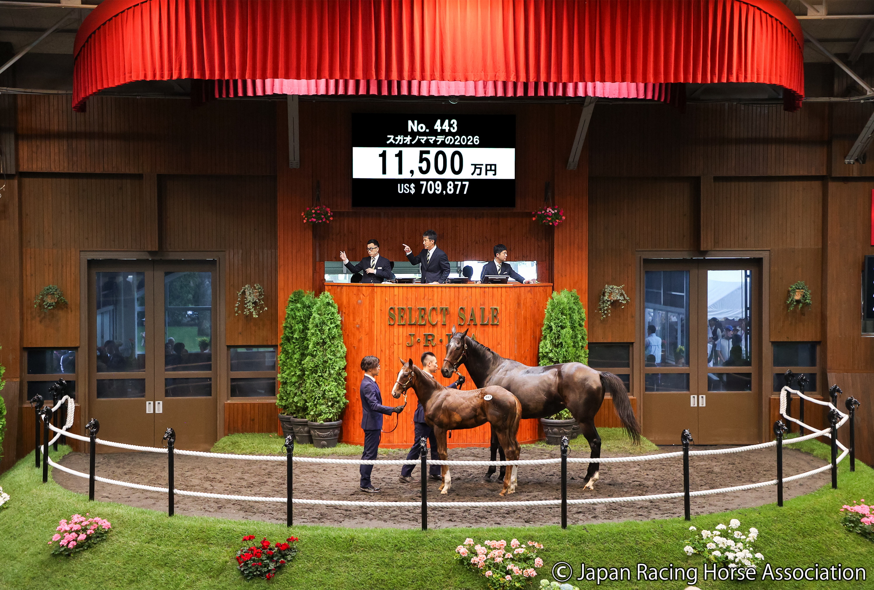 セレクトセール2026・2日目】新種牡馬セリフォスの産駒が1億円超え