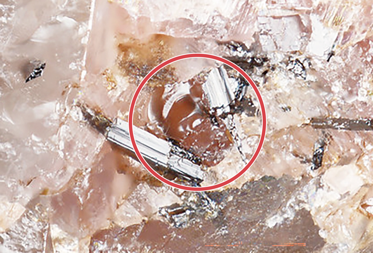 群馬の山で「国産レアアース」新鉱物4種発見 山口大が発表、国際鉱物学