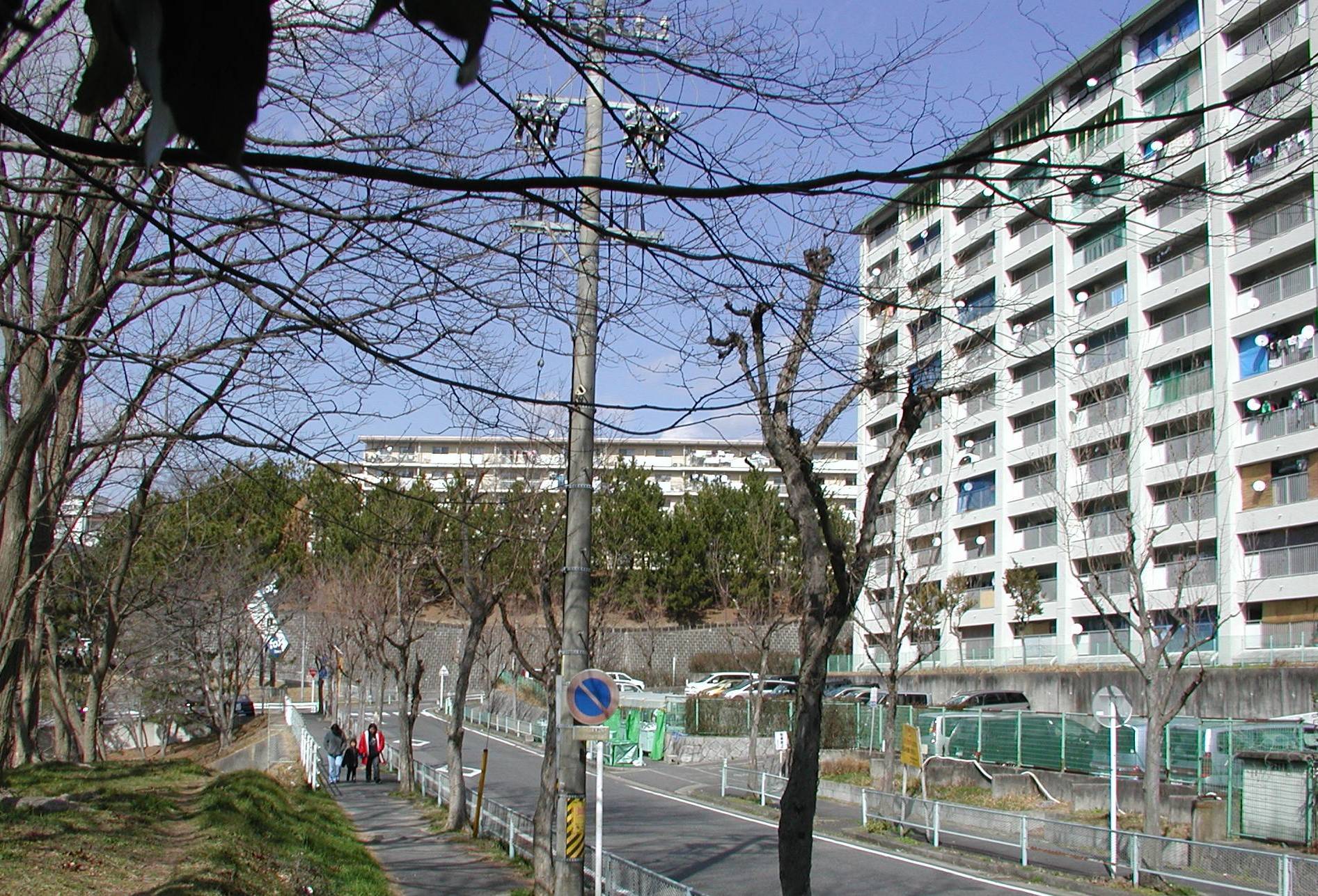 日系ブラジル人はなぜ「移民化」したか 「多文化共生」先駆け、偽装