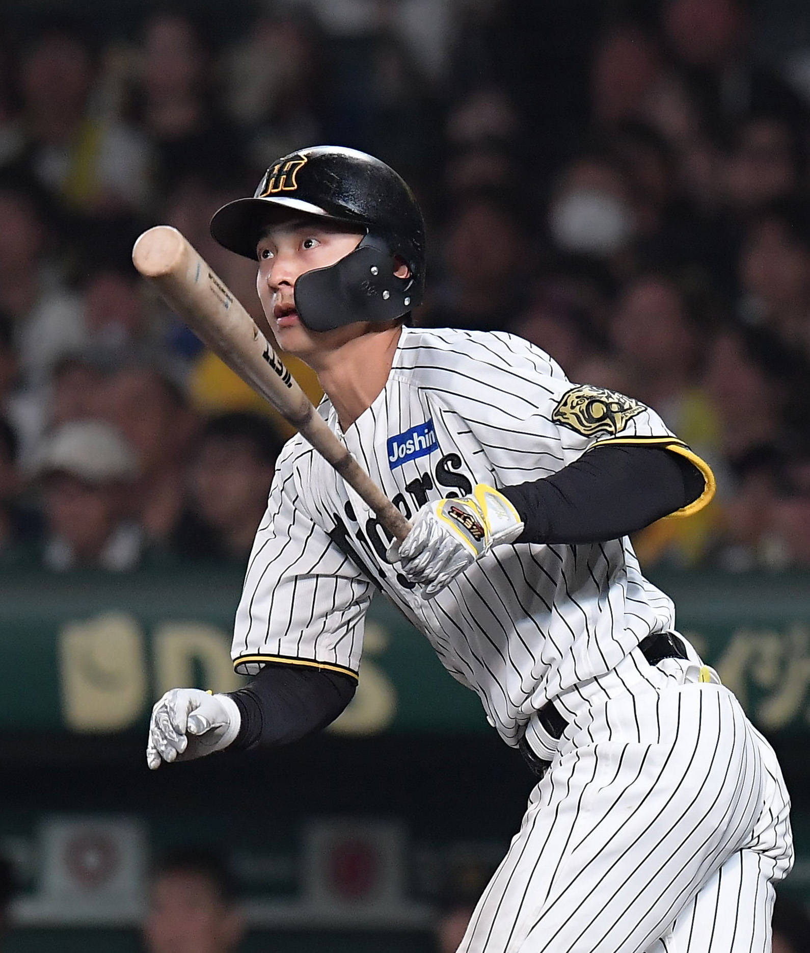 虎博覧会】阪神・熊谷敬宥の意識改革「一球に集中、一打席を大事に