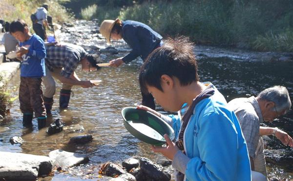 一攫千金、砂金探しに群がる 滋賀・長浜 - 産経ニュース