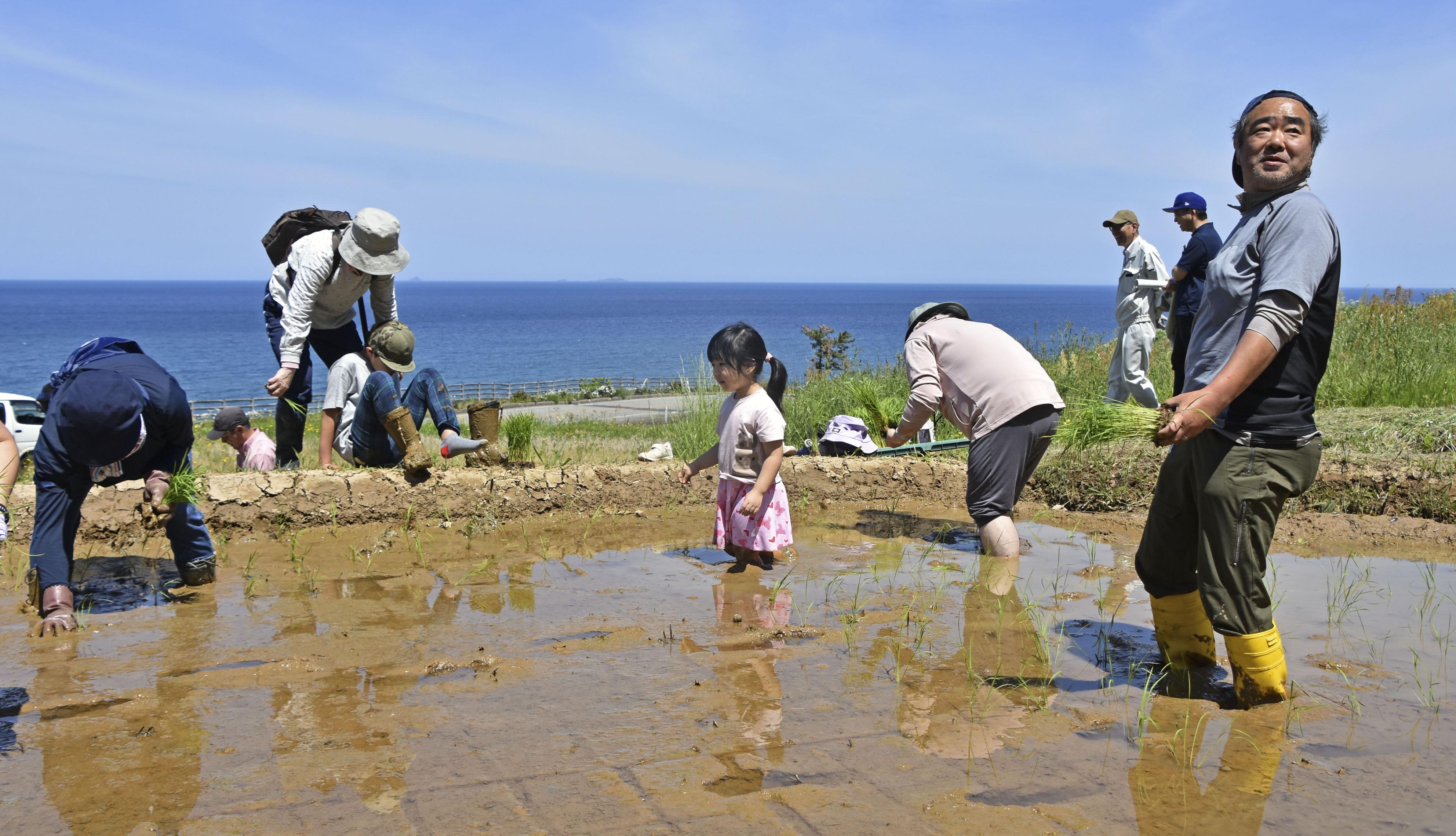 輪島千枚田で田植え始まる 能登半島地震で被災、全体の8割に被害