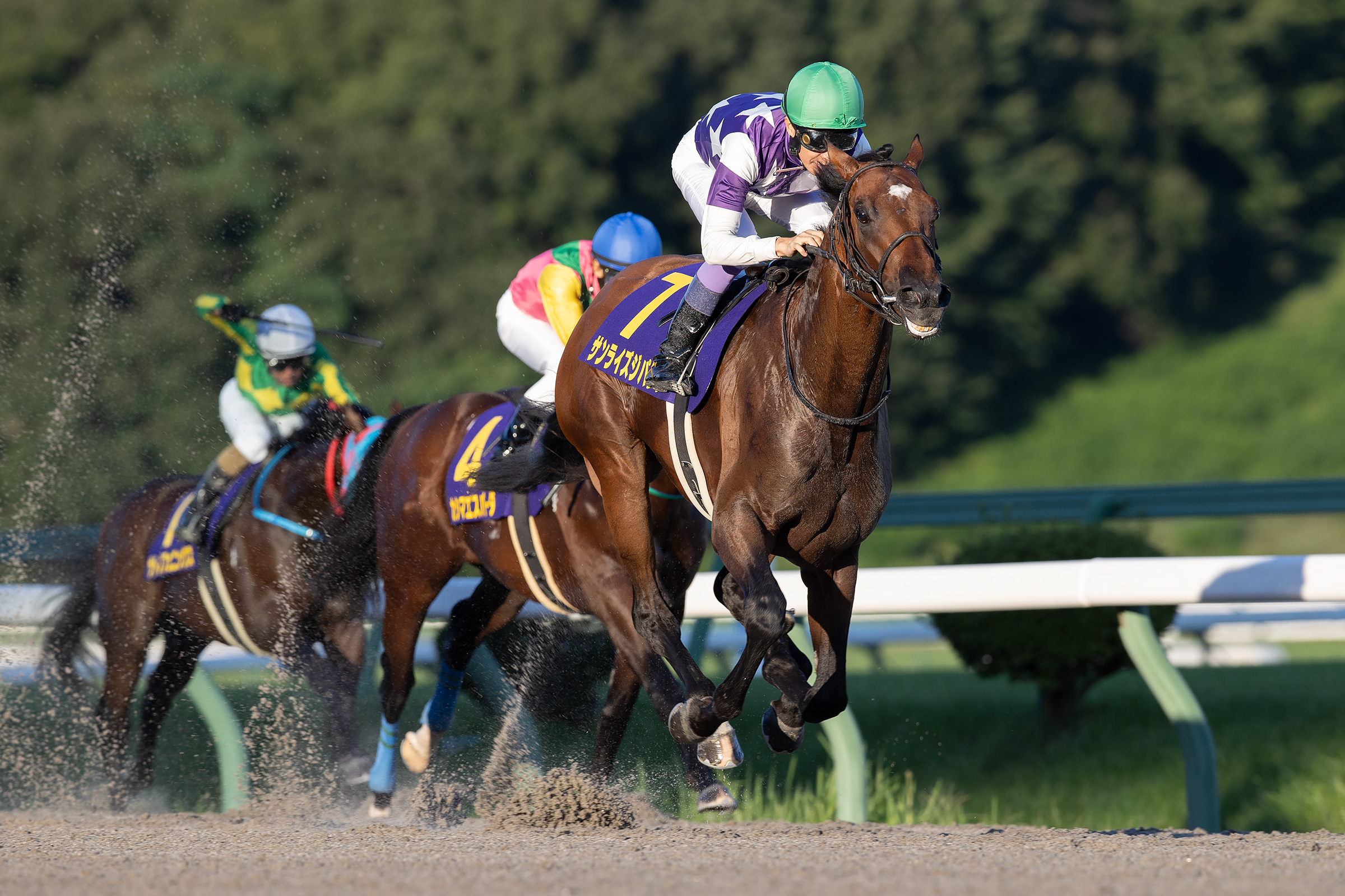 【武豊 サンライズジパング号 アクリルスタンド】不来方賞 盛岡競馬 武豊 サンライズジパング号 アクリルスタンド】不来方賞 盛岡