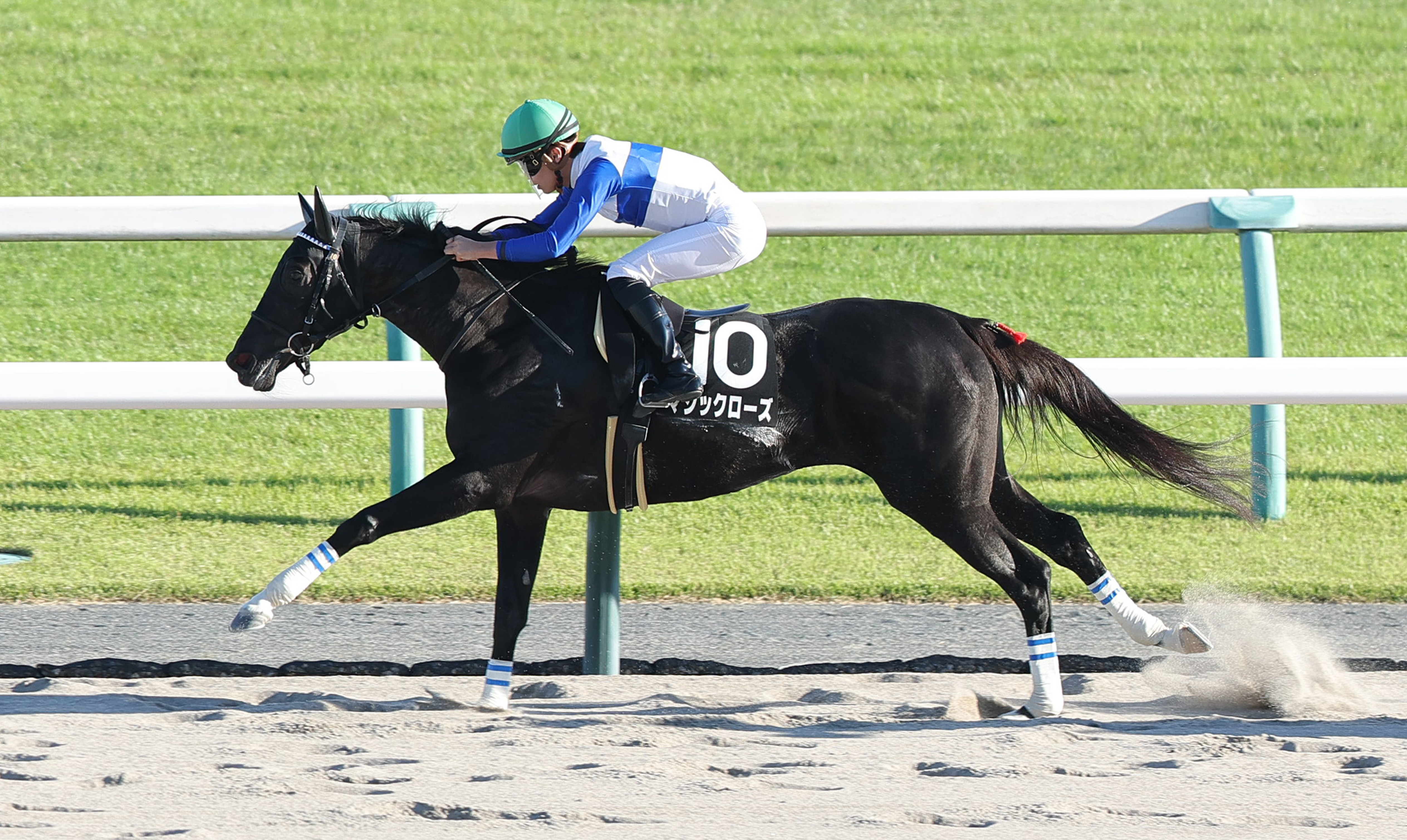 トルマリンS】マジックローズが逃げ切ってオープン入り 角田大和騎手