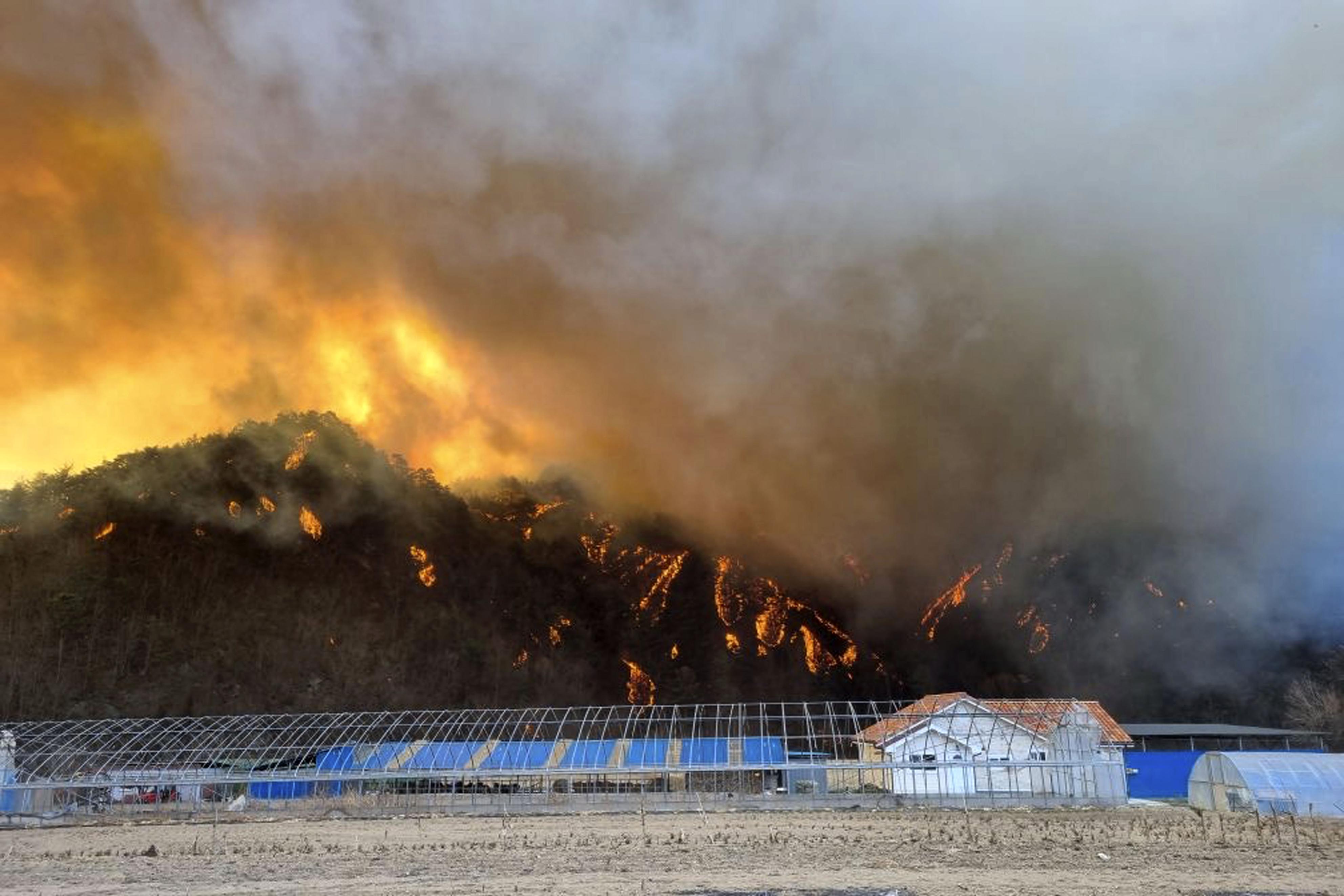 韓国の原発近くで山火事 4000人避難 建屋の被害なし 産経ニュース