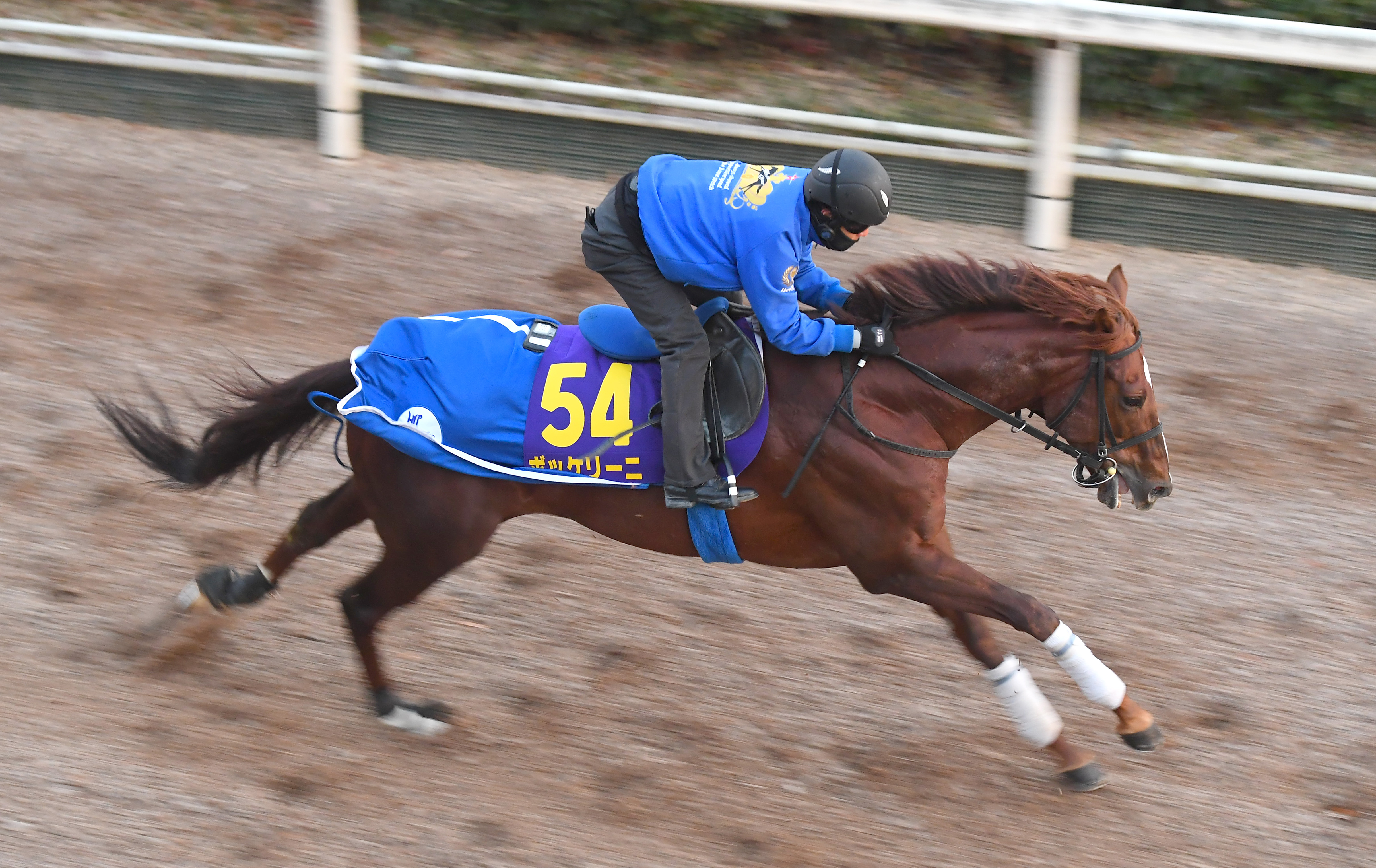 【有馬記念】ボッケリーニ巻き返しへパワフルな脚さばきで