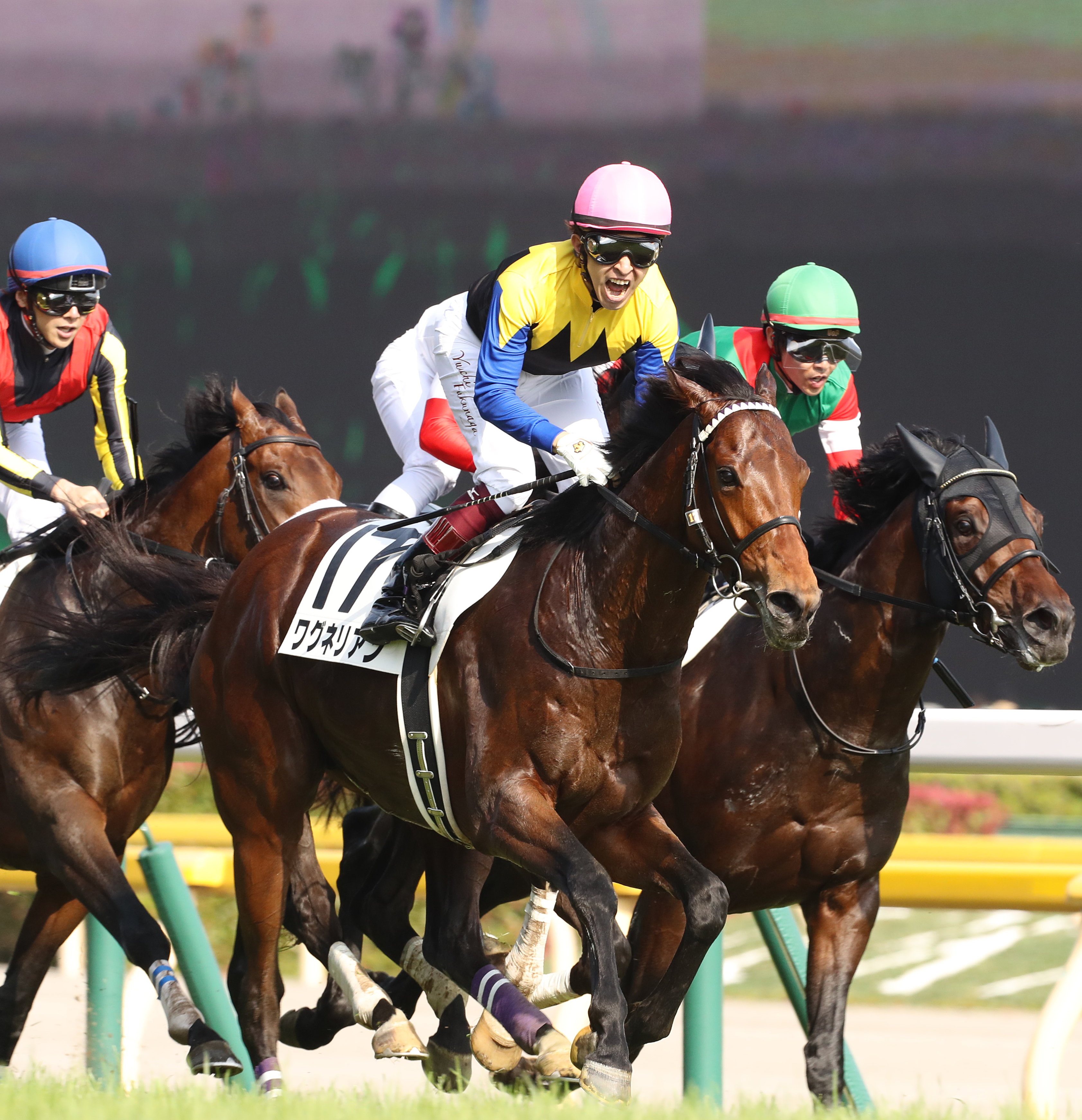 【福永祐一 相棒との軌跡】２０１８年に念願の日本ダービー制覇を果たしたワグネリアン 騎手人生を変えてくれた特別な存在 - サンスポZBAT!