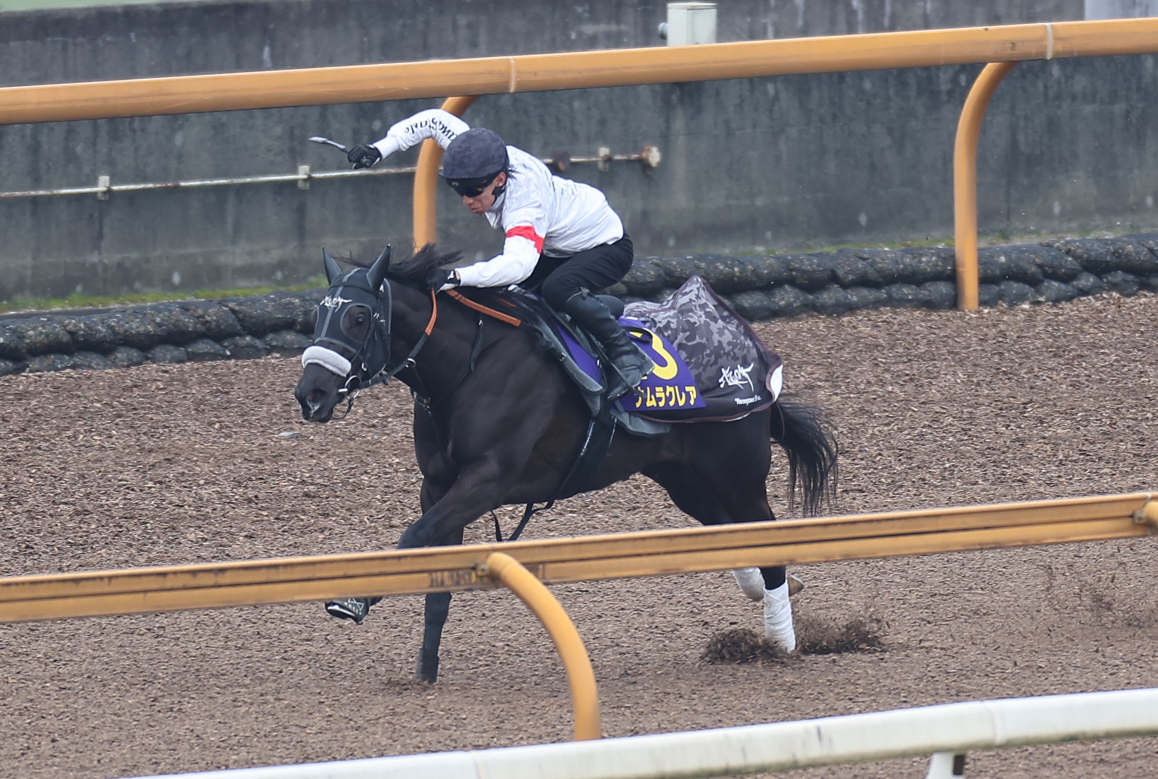 競走馬騎乗のトレーニングマシン - トレーニング用品