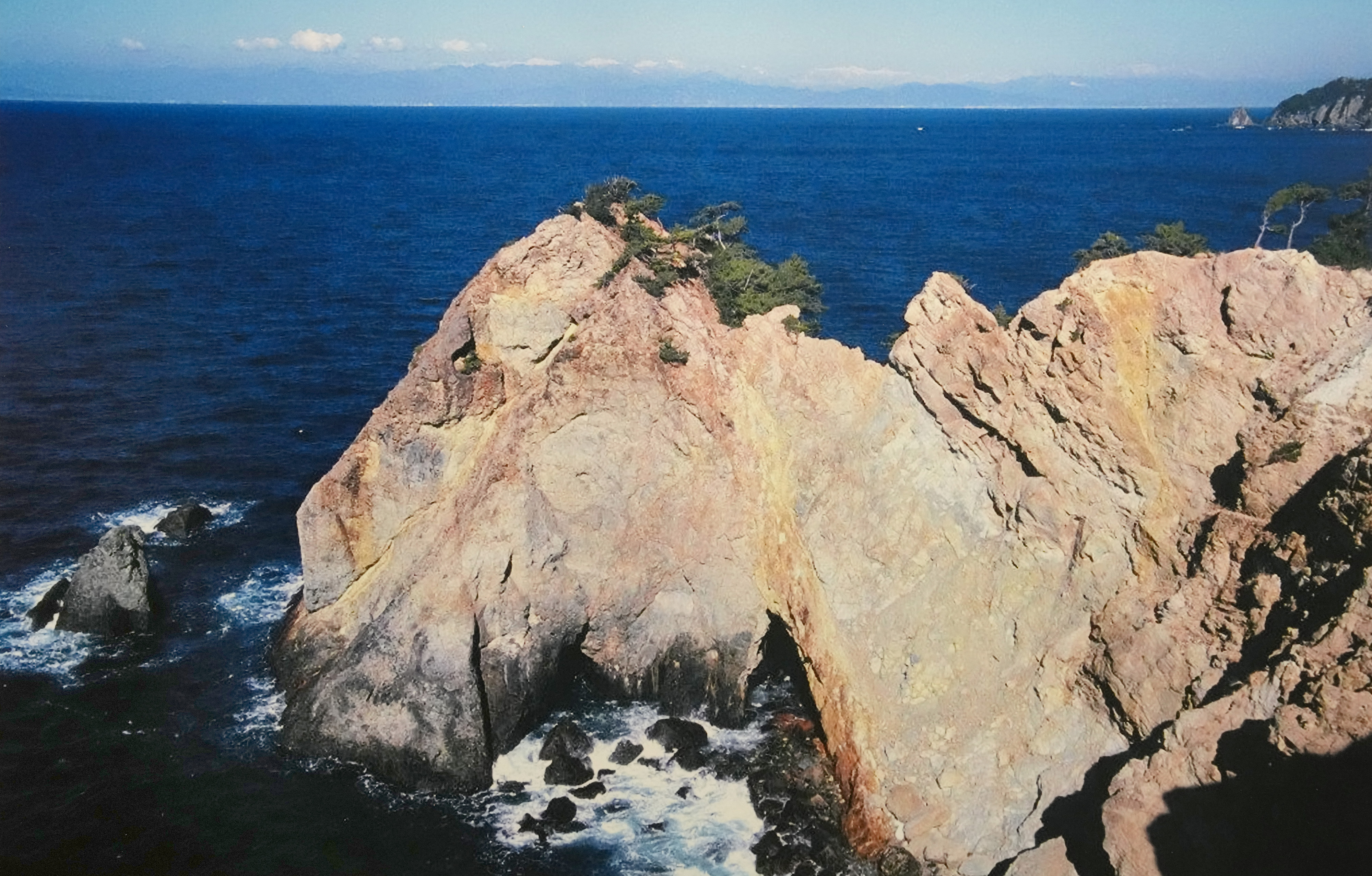 動画】新年「馬ロック」に願掛け 万馬券的中…展望台には競馬ファンの