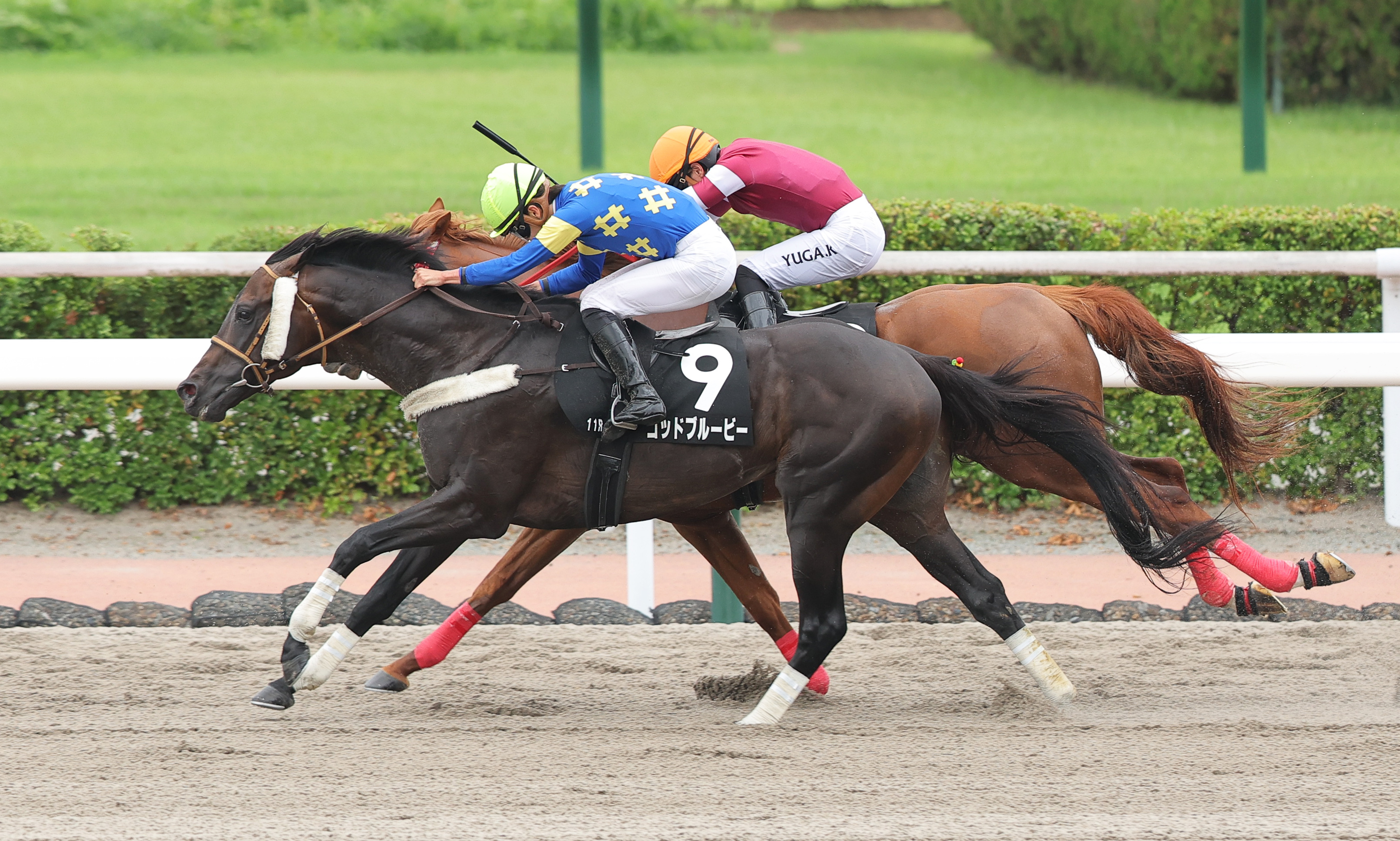 薩摩S】ゴッドブルービーが競り合い制してOP入り 角田騎手「自信