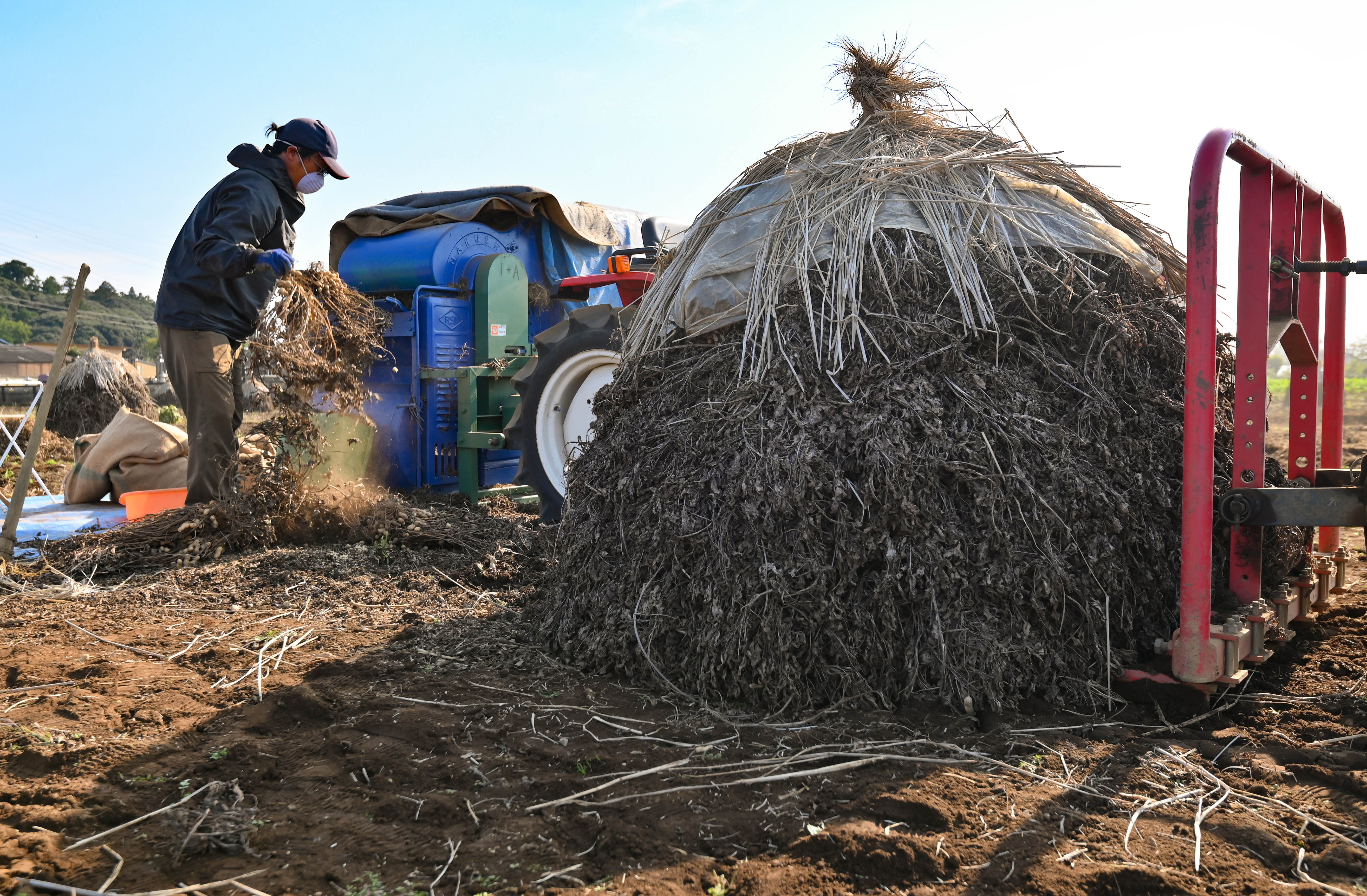 フォト特集 動画 落花生 乾かす 帽子 の列 千葉 晩秋の ぼっち 産経ニュース フォト特集 動画 落花生 乾かす 帽子 の列 千葉 晩秋の ぼっち 産経ニュース