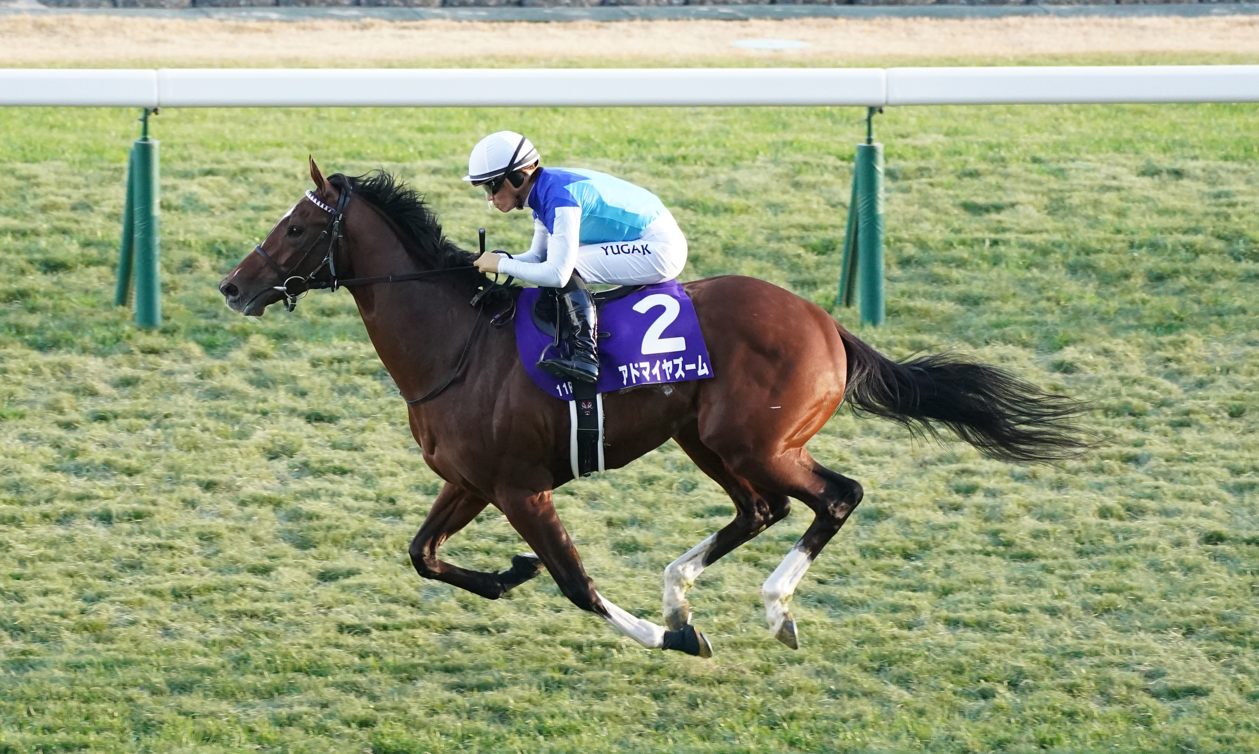 スワンSの注目点】アドマイヤズームGⅠ馬の実力見せつけるか 京都巧者