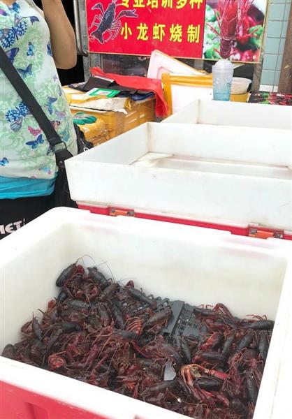 中国ウオッチ】アメリカザリガニを爆食！ 若者に人気で消費右肩上がり