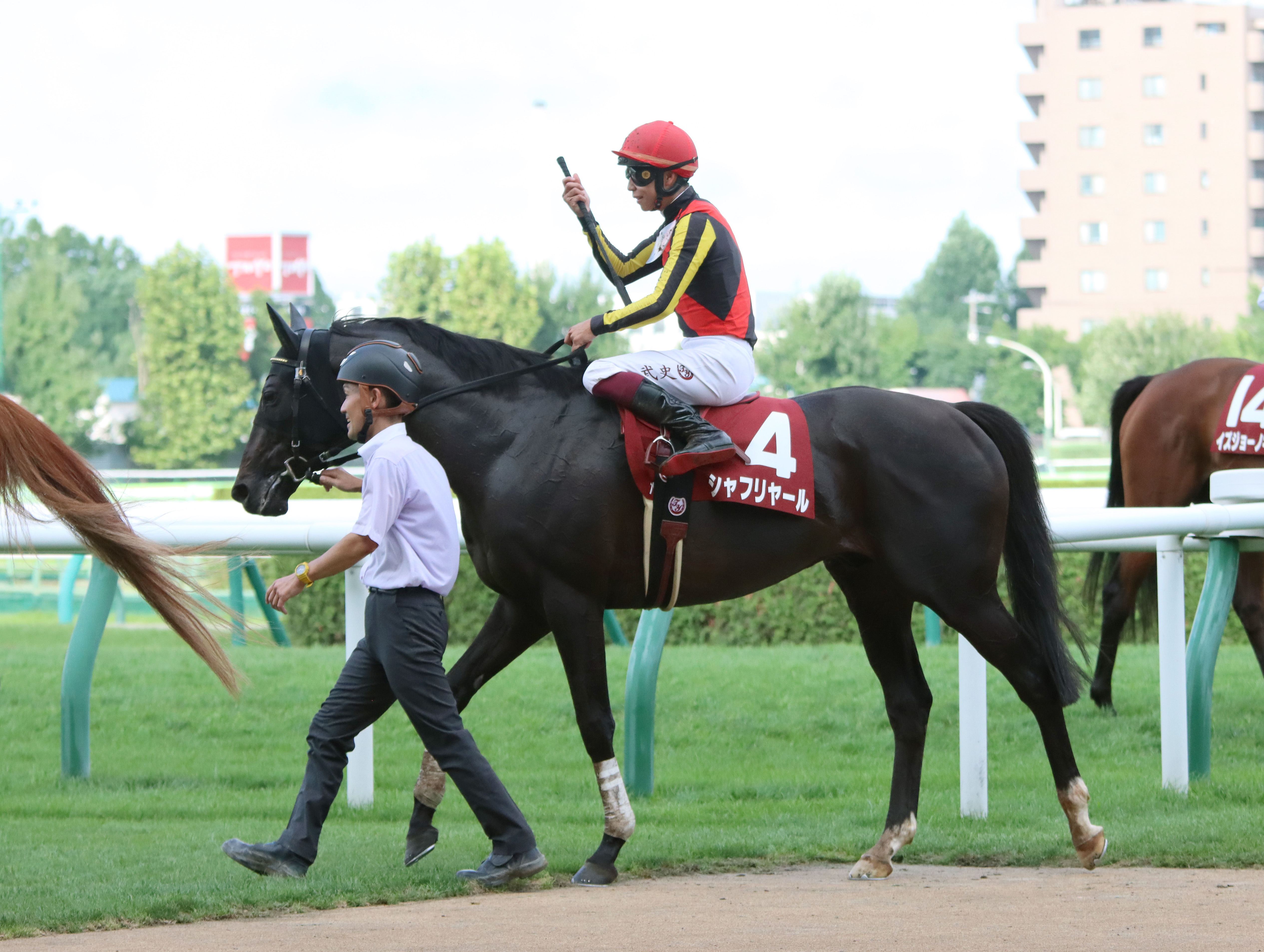 シャフリヤールの喉の手術が無事に終了