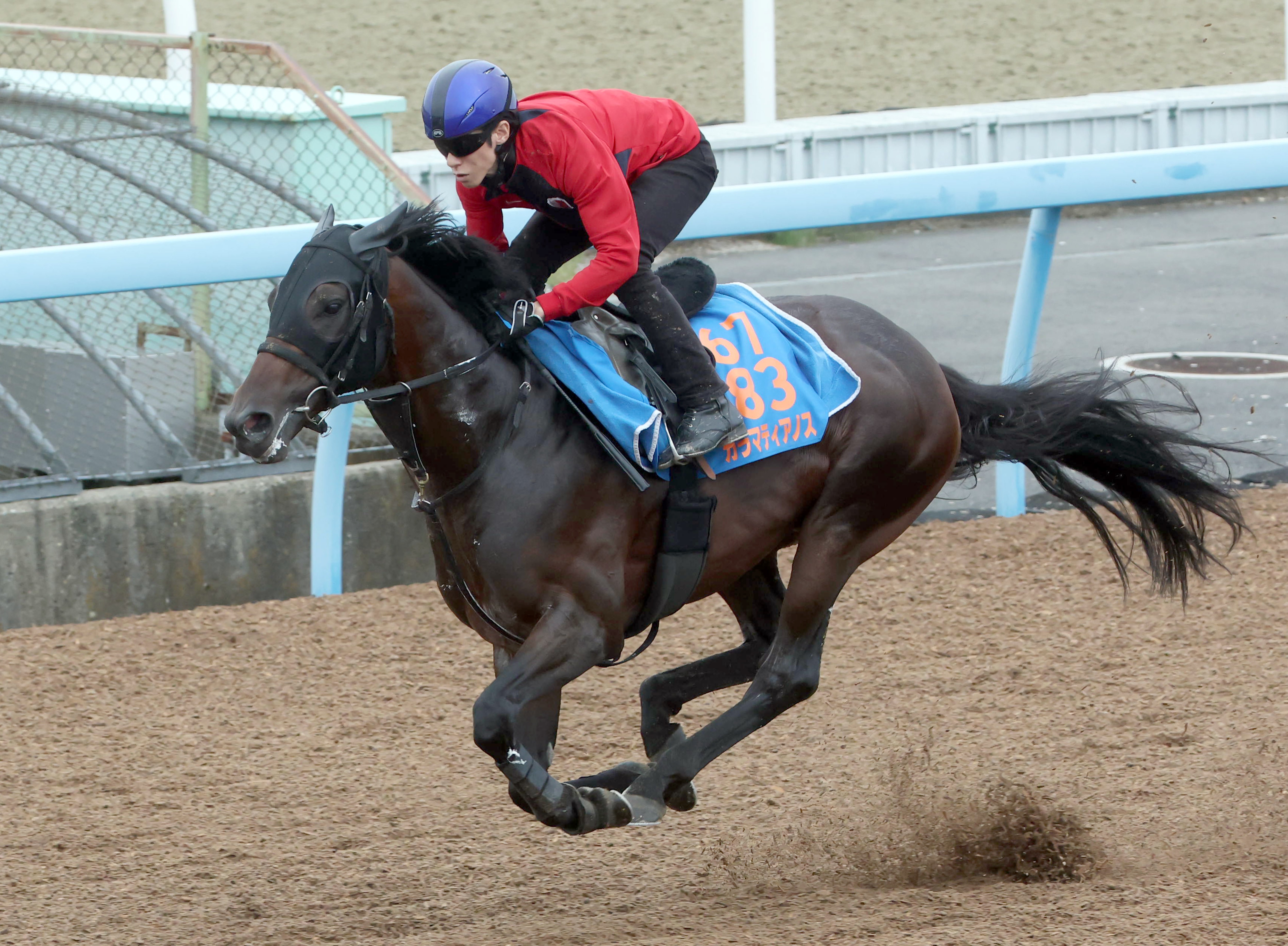 七夕賞】トップハンデ58キロでもカラマティアノスは重賞2勝目狙う 杉木 
