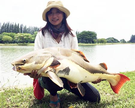 女王が怪魚ハント グランドチャンピオン深谷さんと準ｖ松本さんがタイ観光 釣りツアー 1 2ページ サンスポ