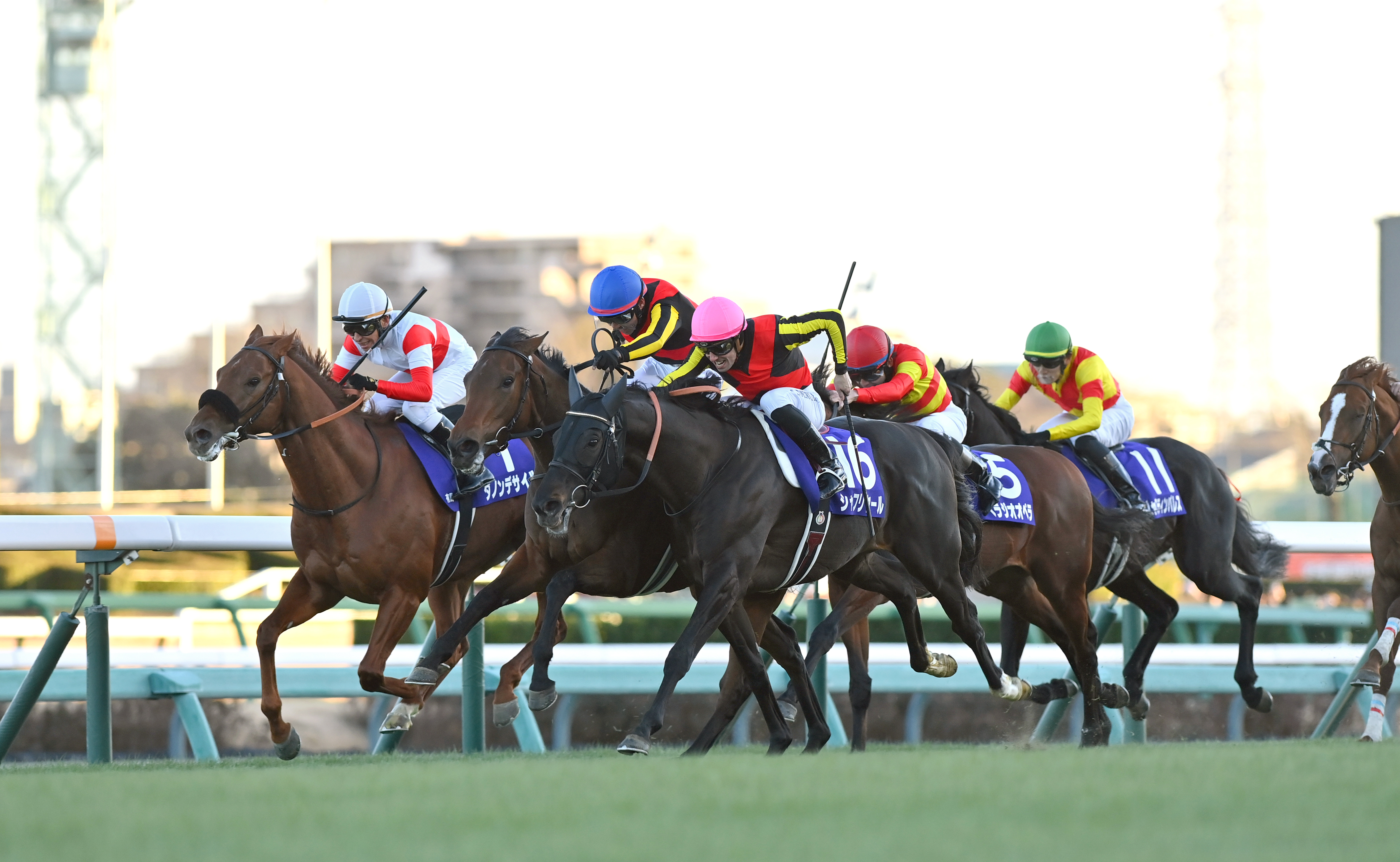 馬券　レガレイラ　9種 昨年の有馬記念を制したレガレイラは9日に美浦トレセンに帰厩
