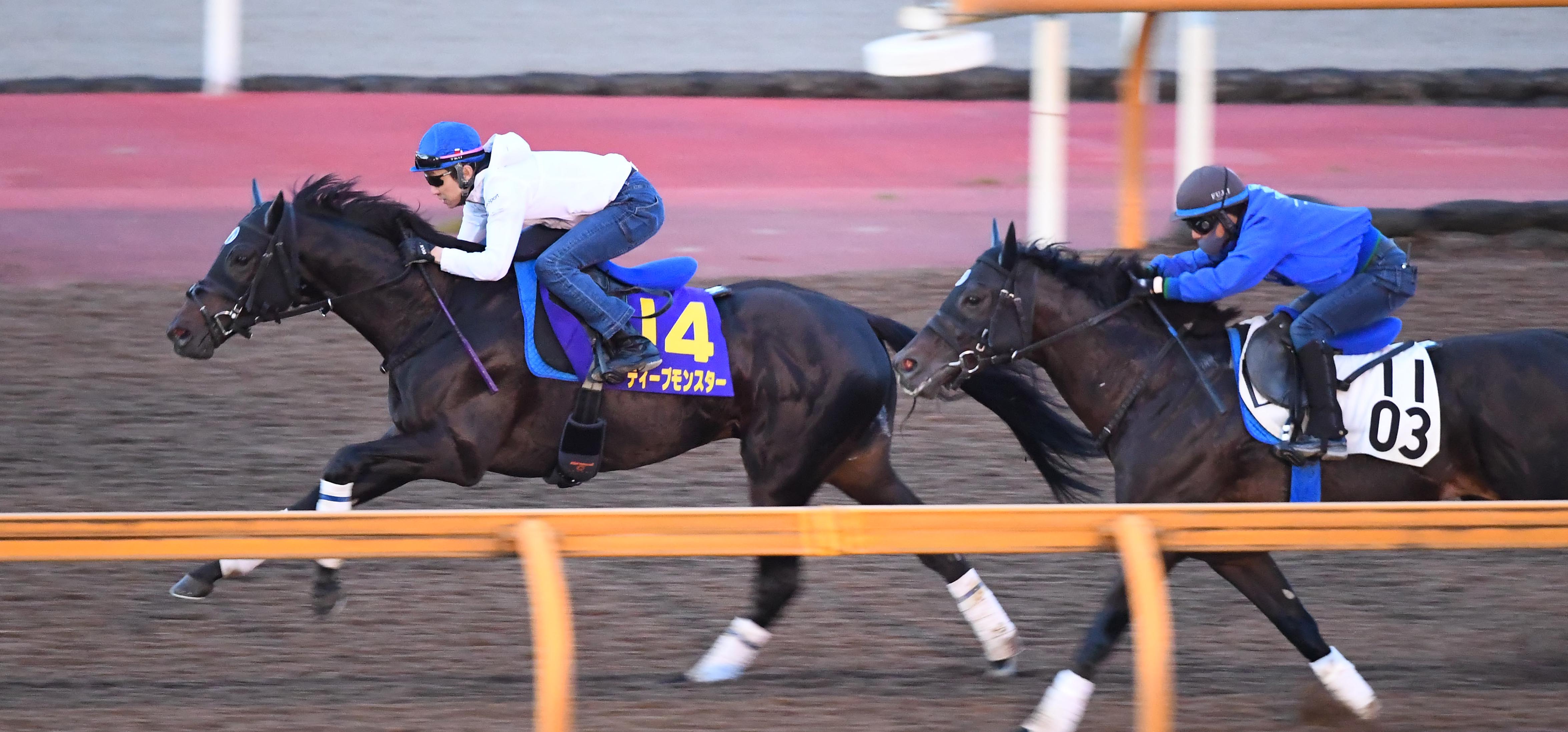 井崎脩五郎のおもしろ競馬学】阪神開催の菊花賞で大変身なるか - 産経