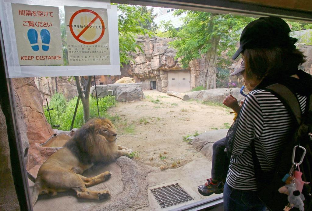 大阪の天王寺動物園が営業再開 産経ニュース