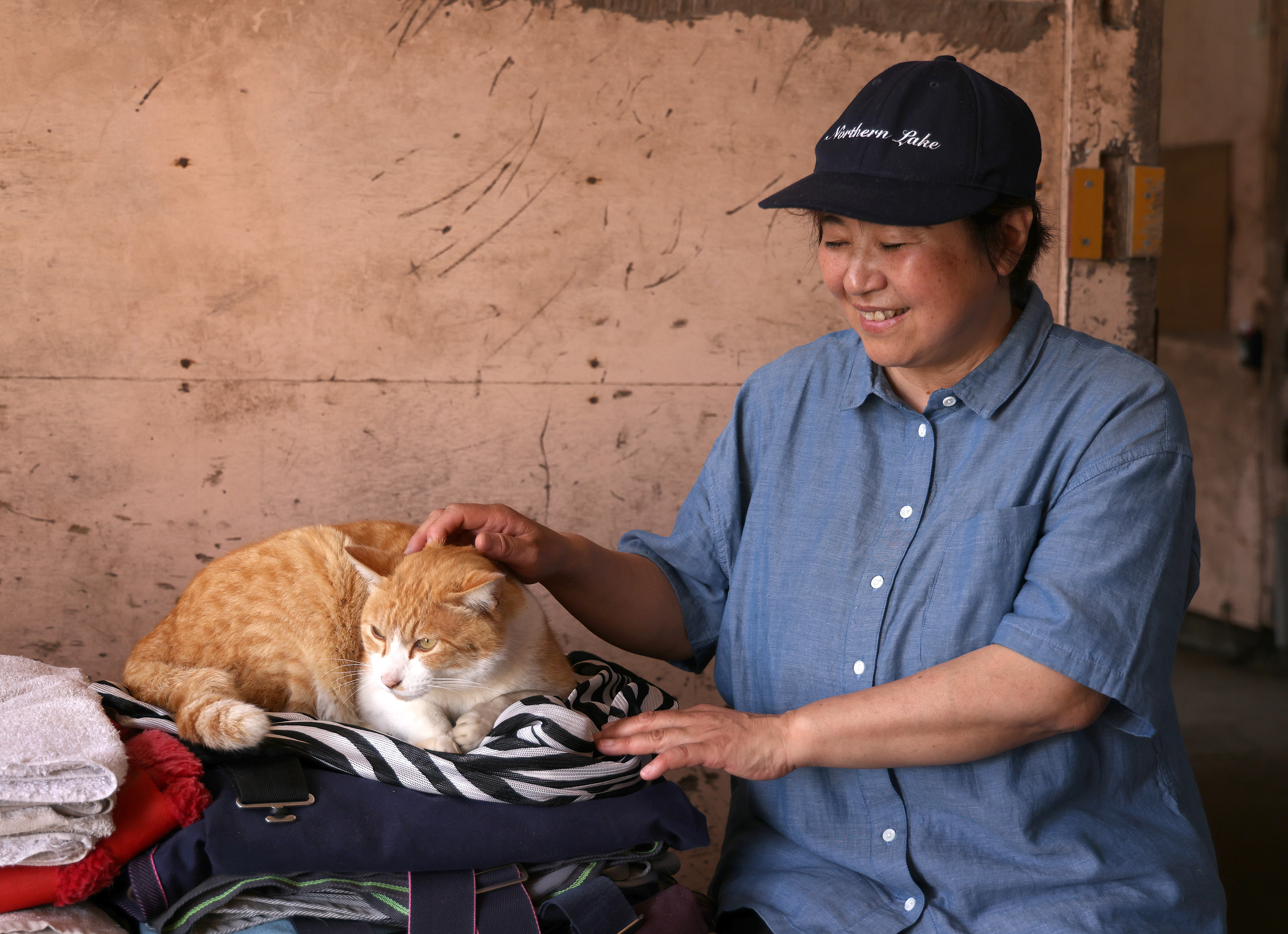 猫の相棒はＧⅠ馬 「ネコパンチ」入厩でたまらず…北海道新冠町の養老牧場へ - 産経ニュース