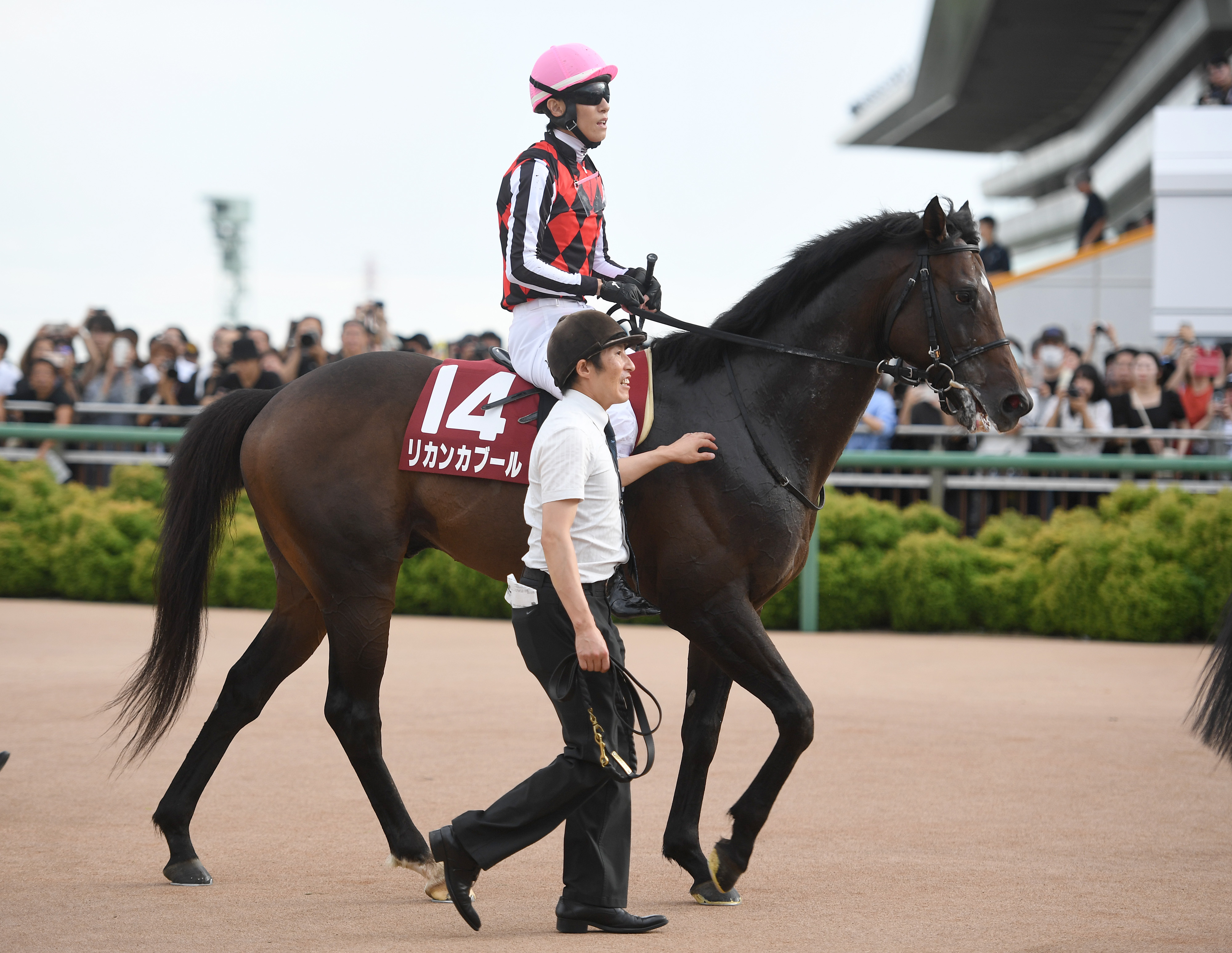 産経賞オールカマー】12番人気リカンカブールが3着 津村明秀騎手「よく 