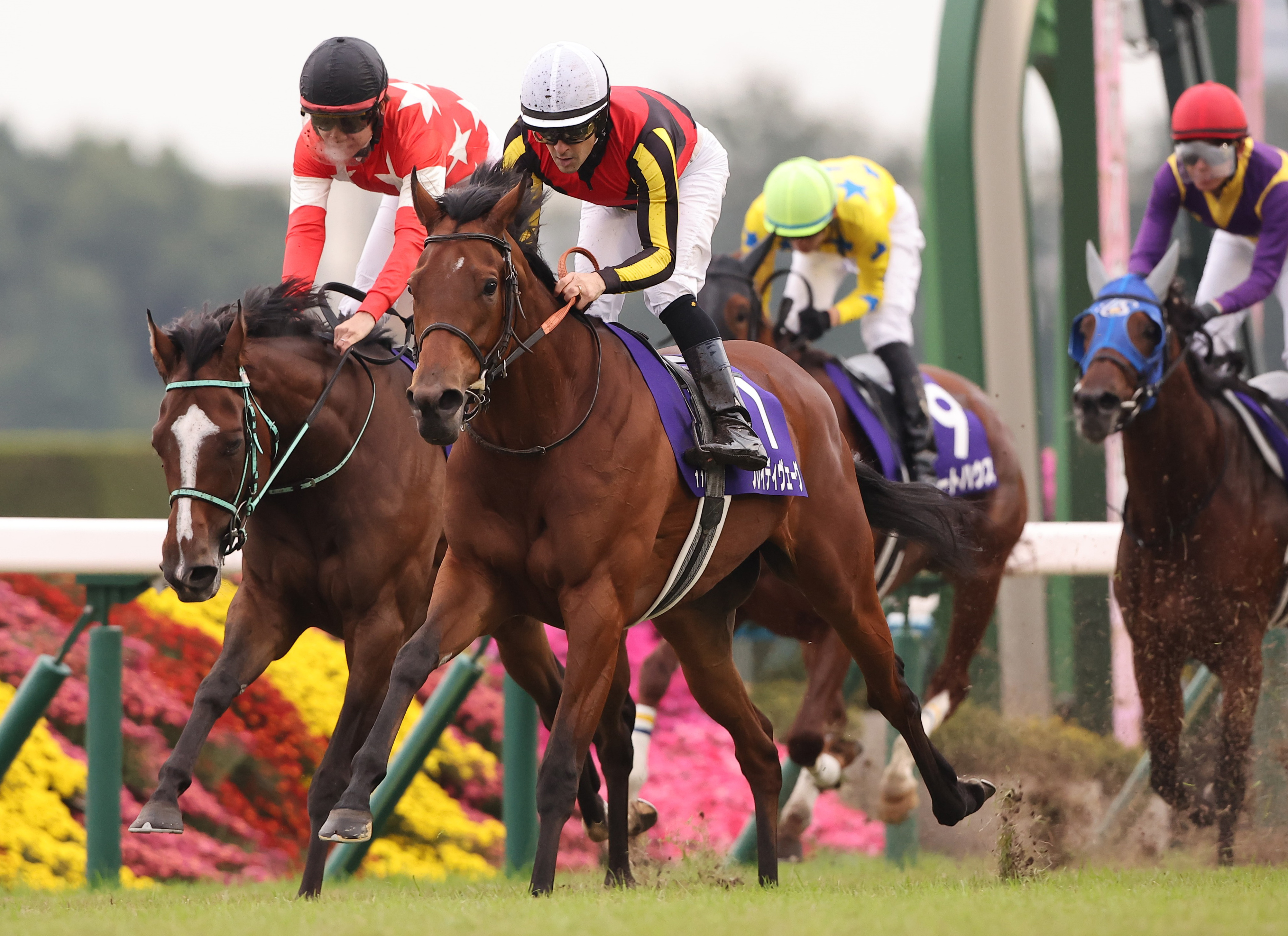 井崎脩五郎のおもしろ競馬学】「寄らば大樹」のタイミング