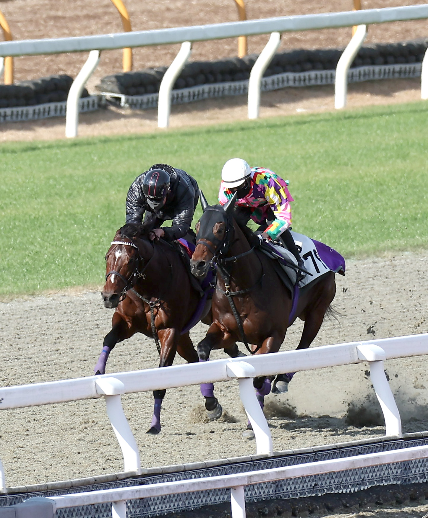 競馬 JRA 2001年 宝塚記念 優勝馬 メイショウドドウ レープロ - 印刷物