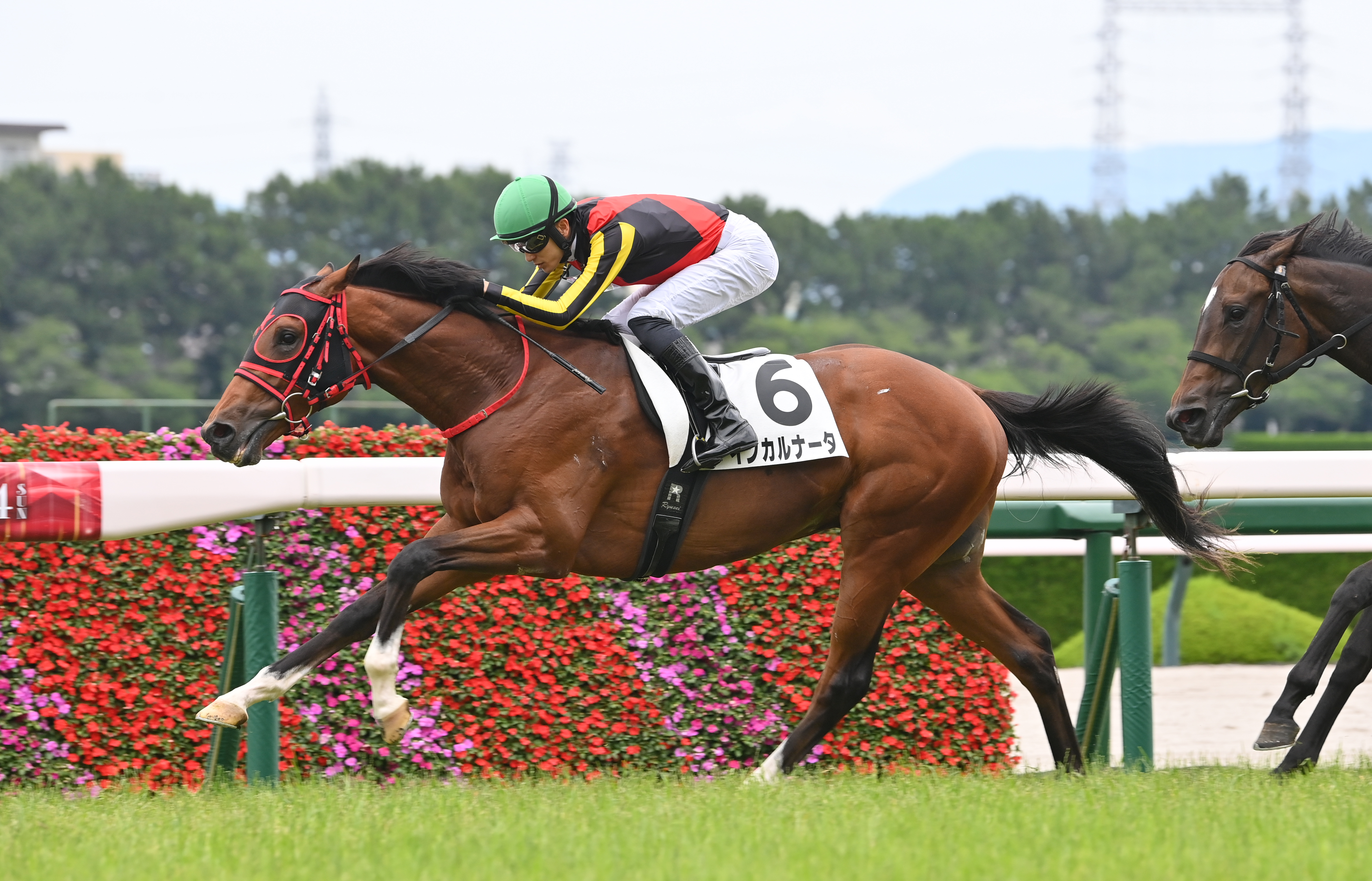 新種牡馬エフフォーリア産駒が新馬戦連勝！ 開幕2週で3勝の好スタート