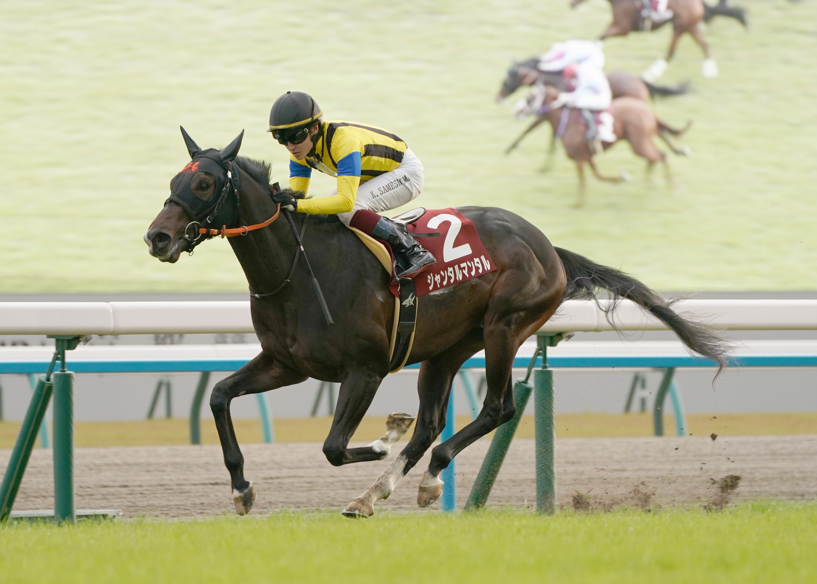 朝日杯ＦＳの注目点】ＪＲＡ・ＧＩ初挑戦パレスマリス産駒のジャンタル ...