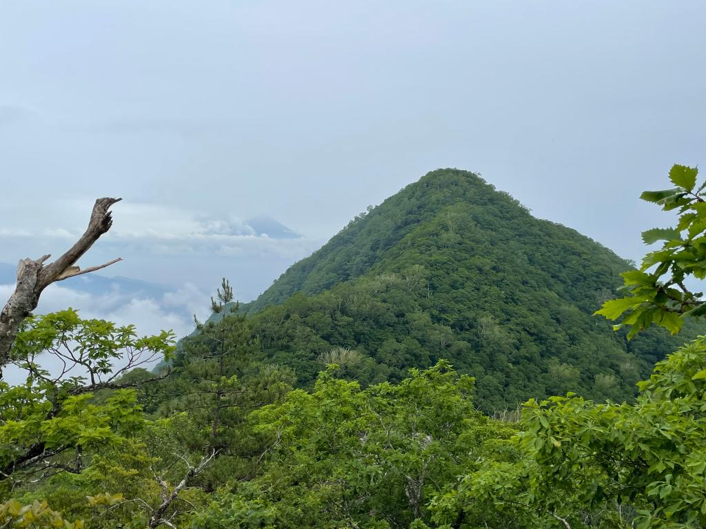 週末、山へ行こう】美しい山容が目を引く展望の山へ 茅ケ岳（山梨県