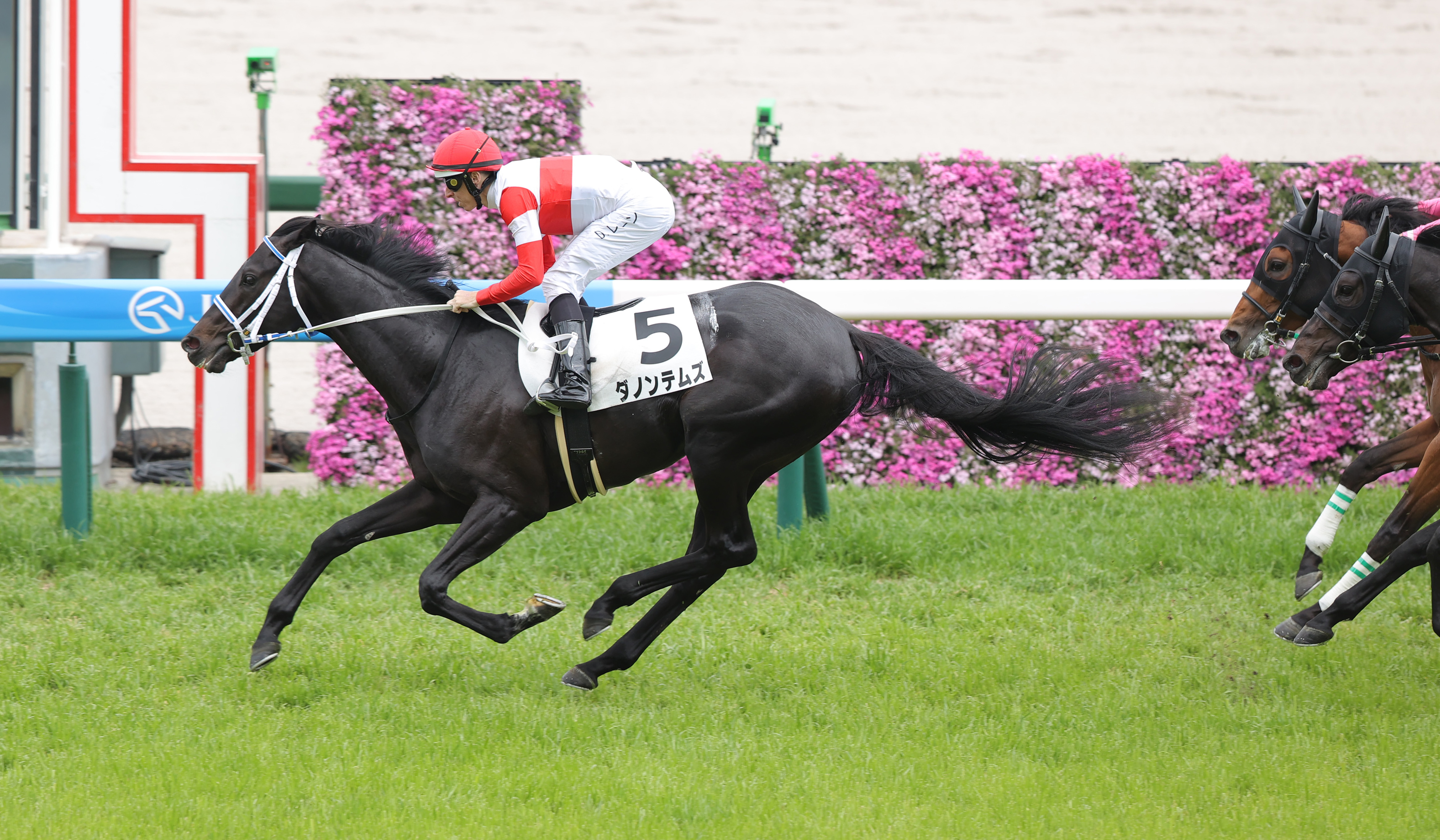 レーン騎手が今回の来日初勝利 皐月賞ではカヴァレリッツォに騎乗